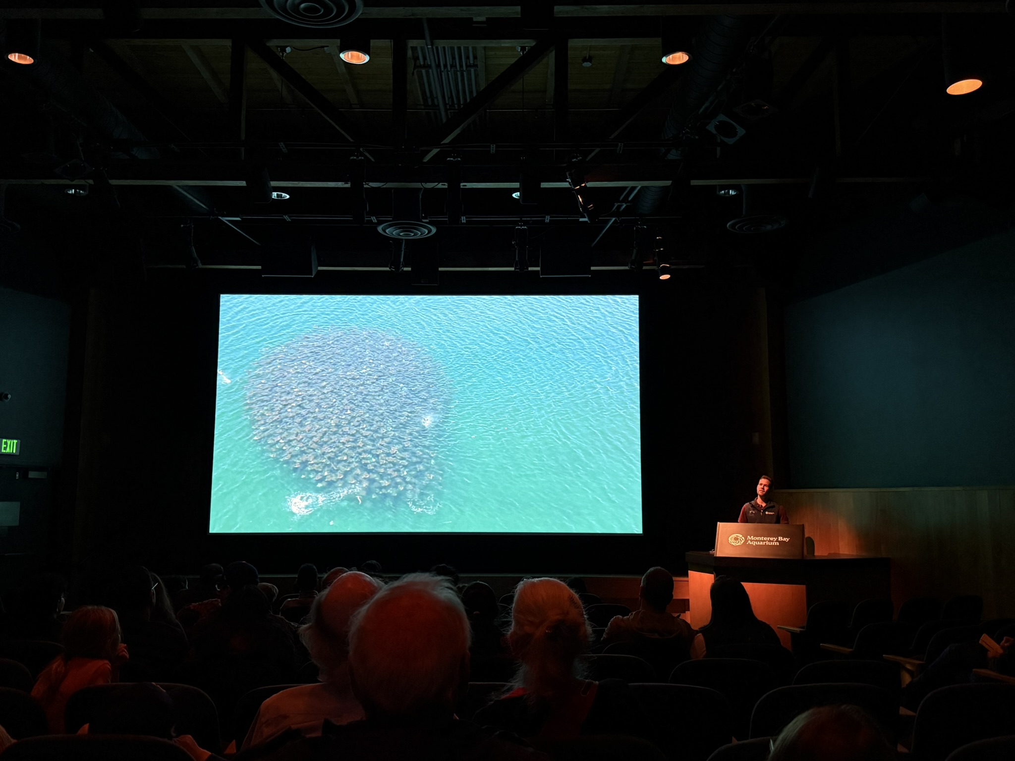 Monterey Bay Aquarium