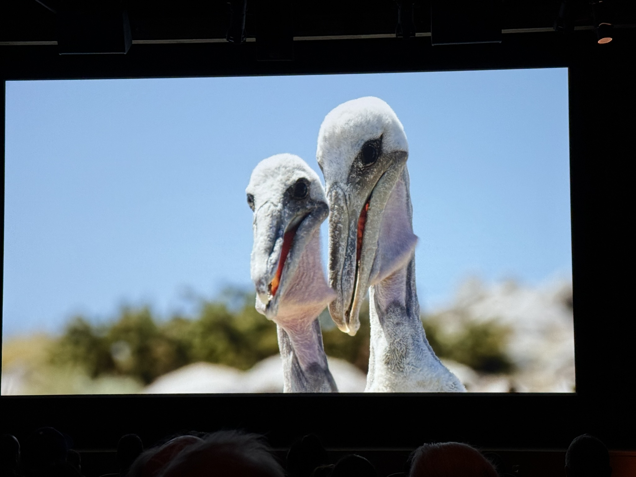 Monterey Bay Aquarium