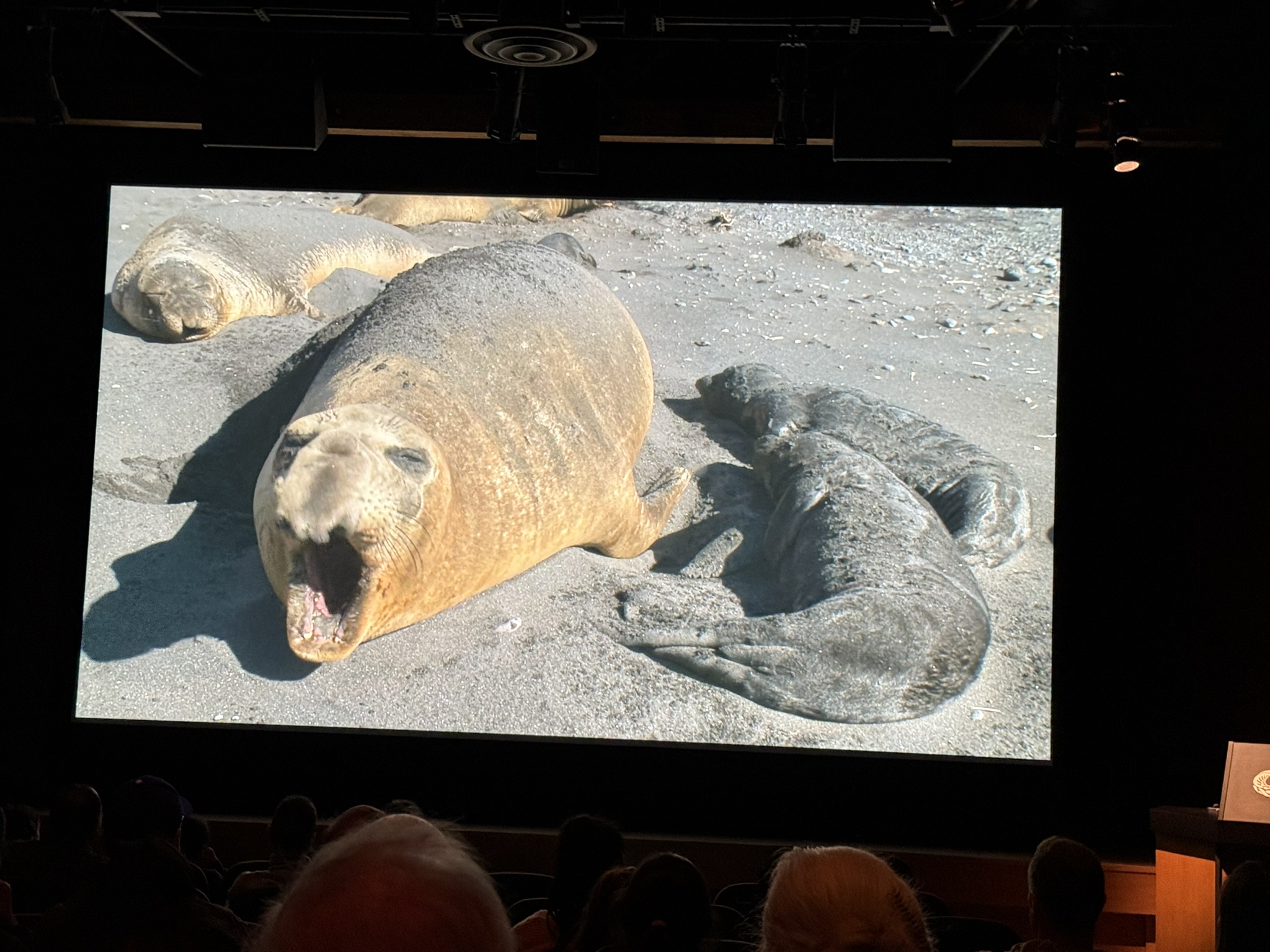 Monterey Bay Aquarium