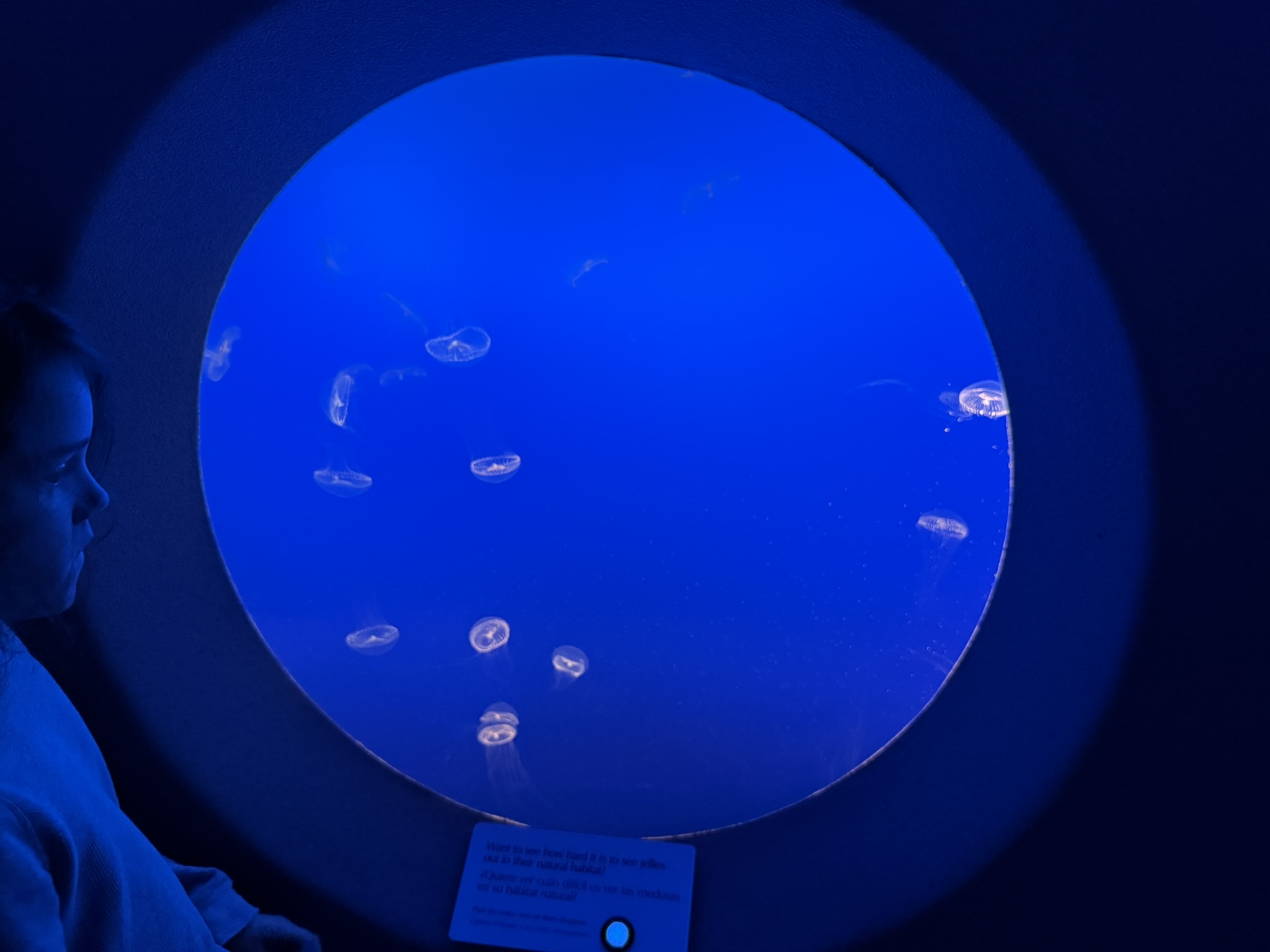 Monterey Bay Aquarium