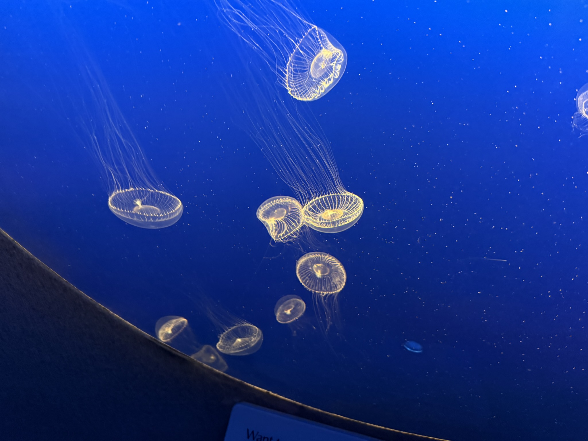 Monterey Bay Aquarium