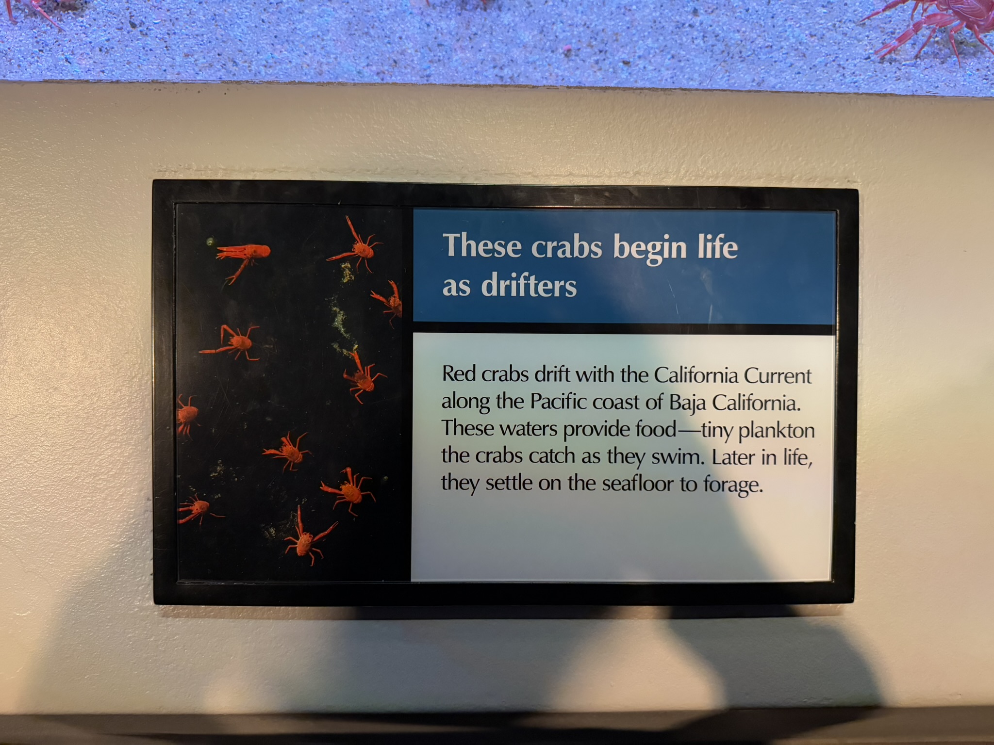 Monterey Bay Aquarium