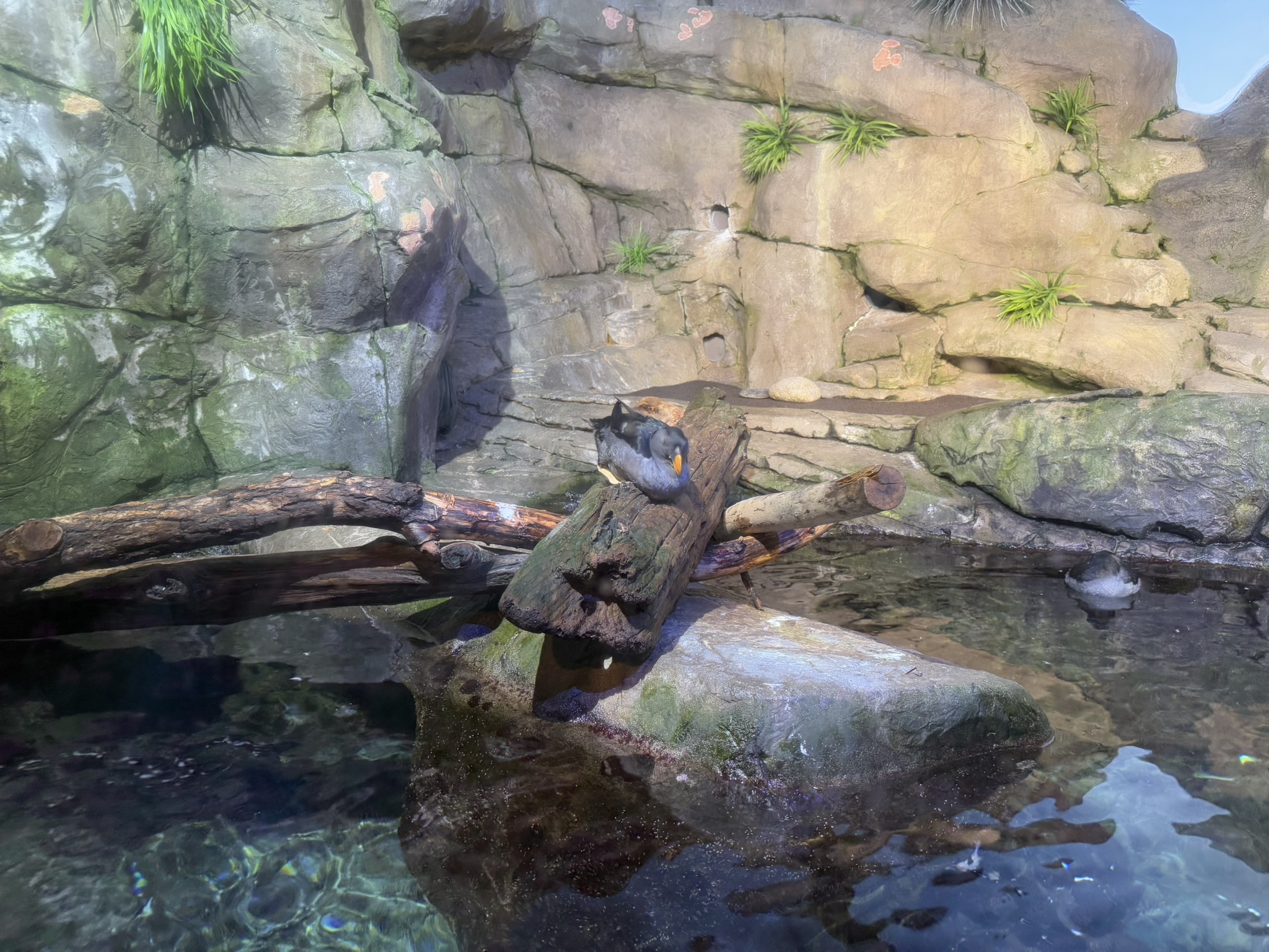 Monterey Bay Aquarium