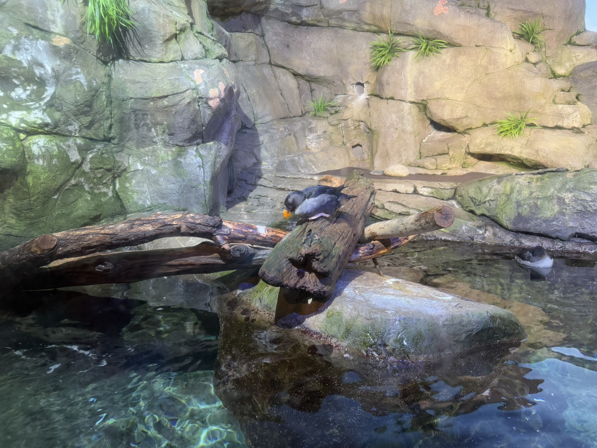 Monterey Bay Aquarium