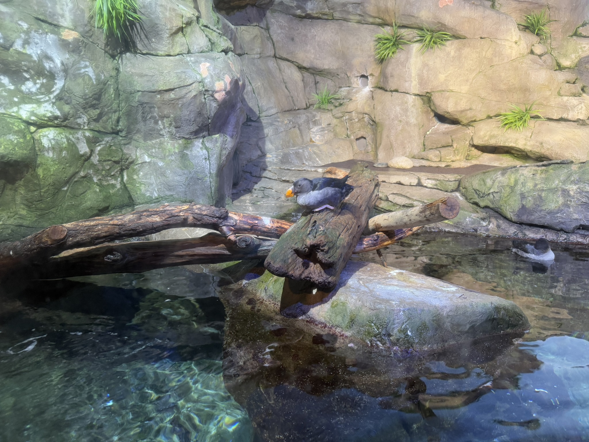 Monterey Bay Aquarium