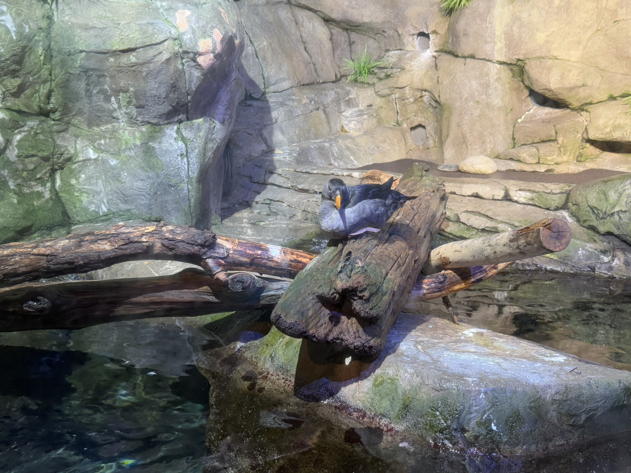 Monterey Bay Aquarium