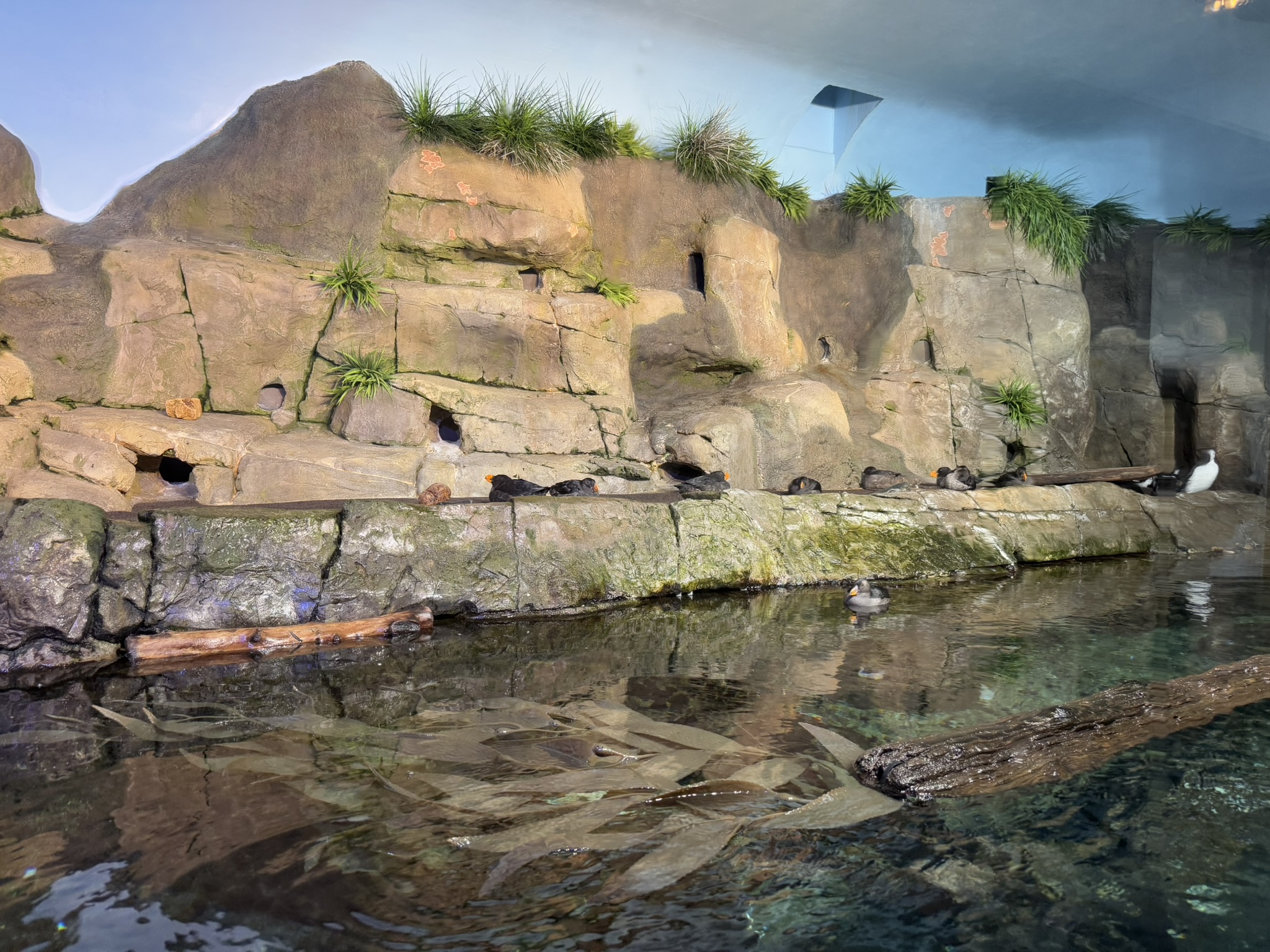 Monterey Bay Aquarium