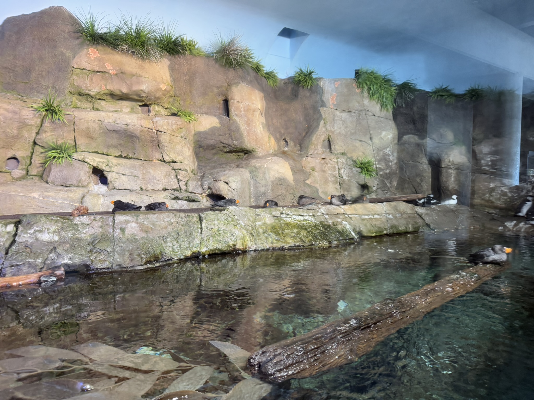 Monterey Bay Aquarium