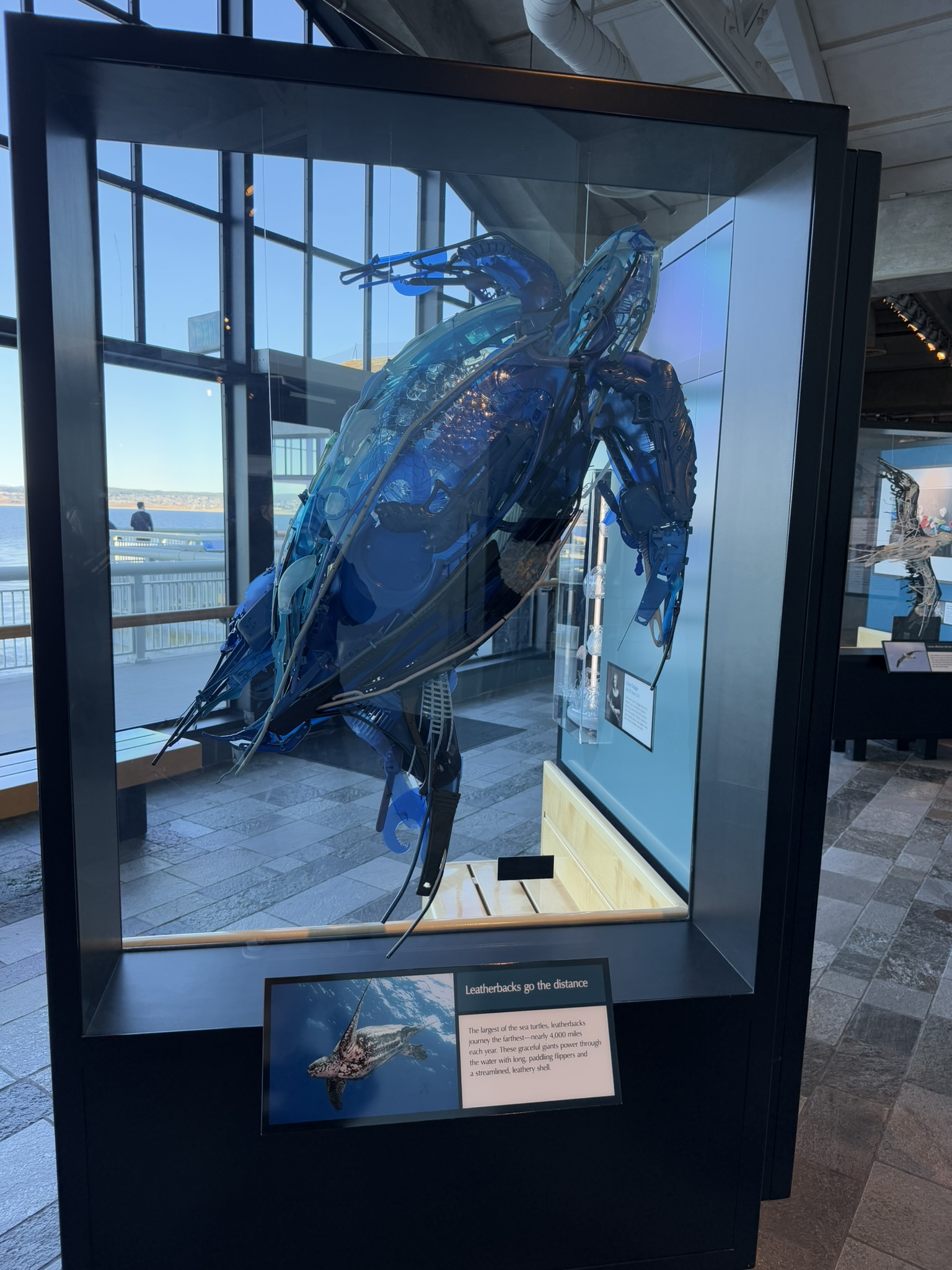 Monterey Bay Aquarium