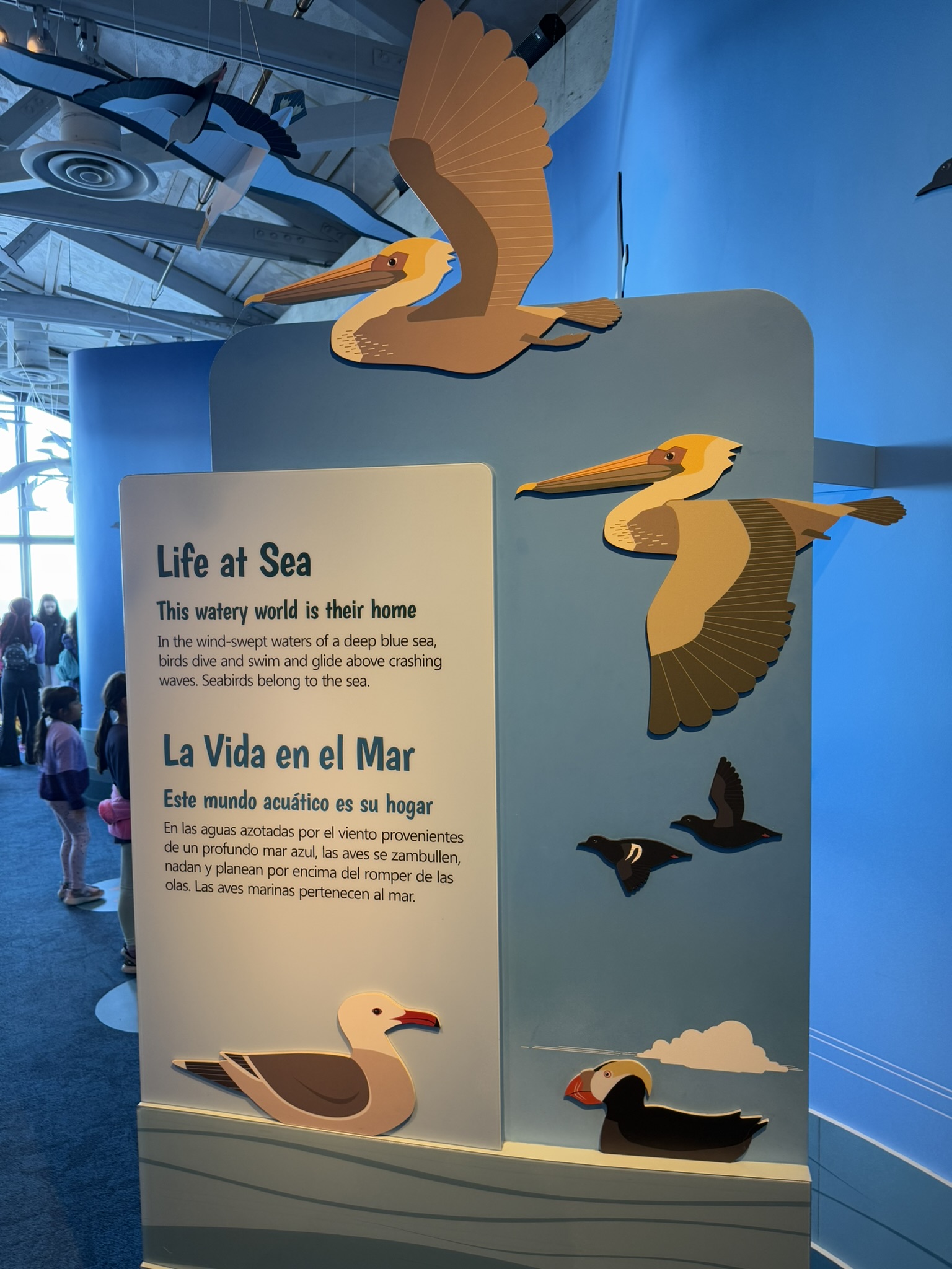 Monterey Bay Aquarium