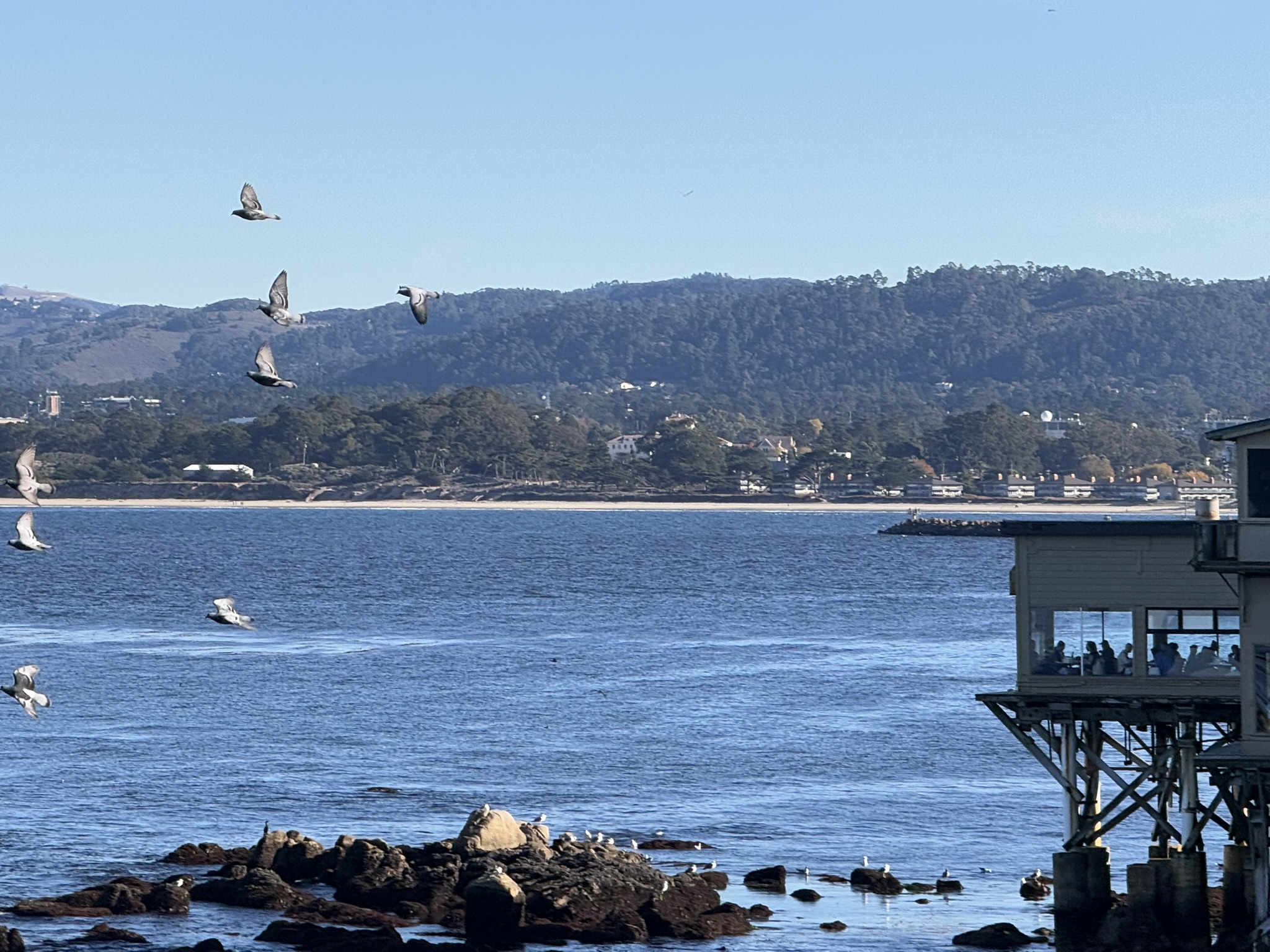 Monterey Bay Aquarium