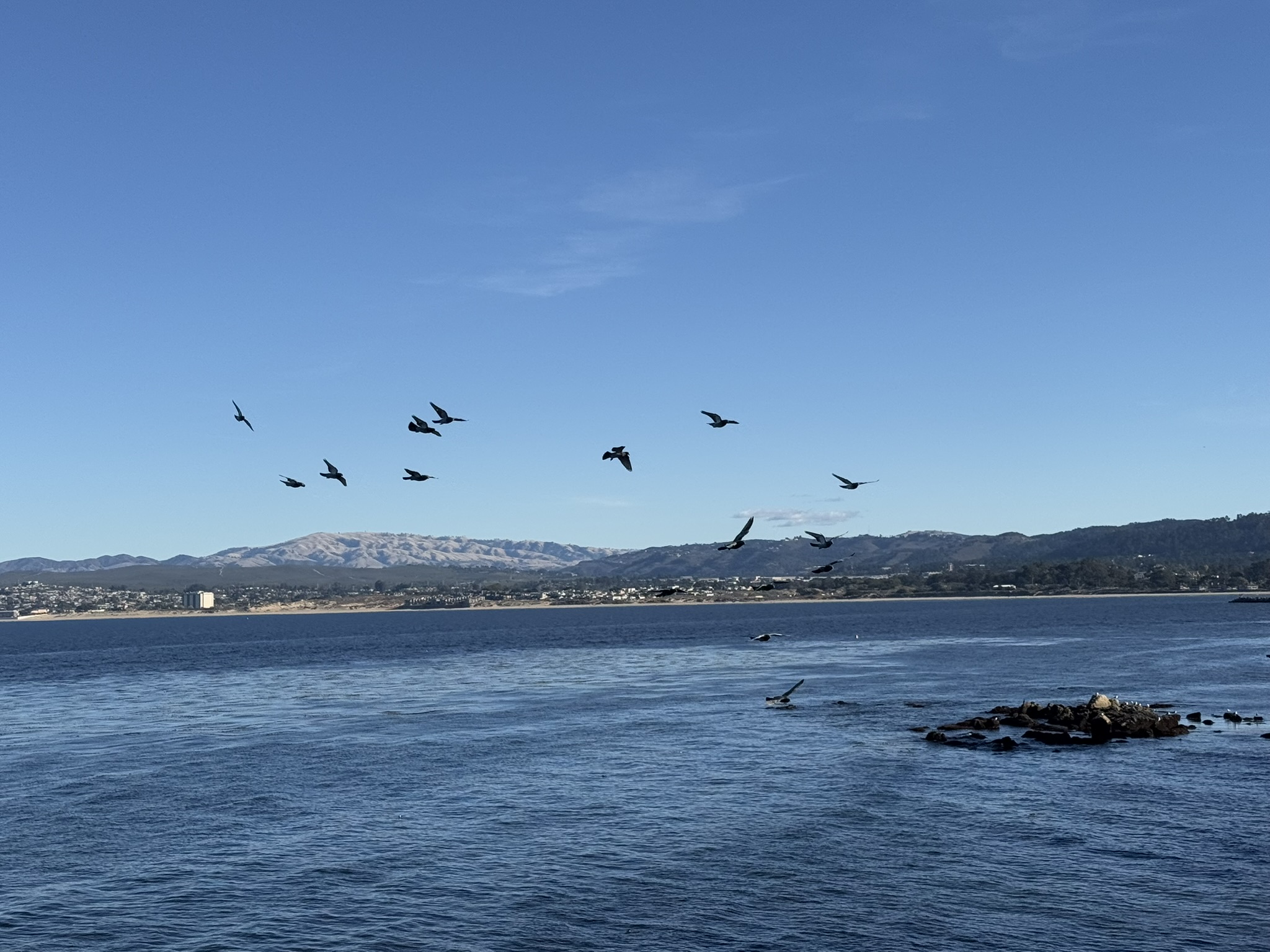 Monterey Bay Aquarium