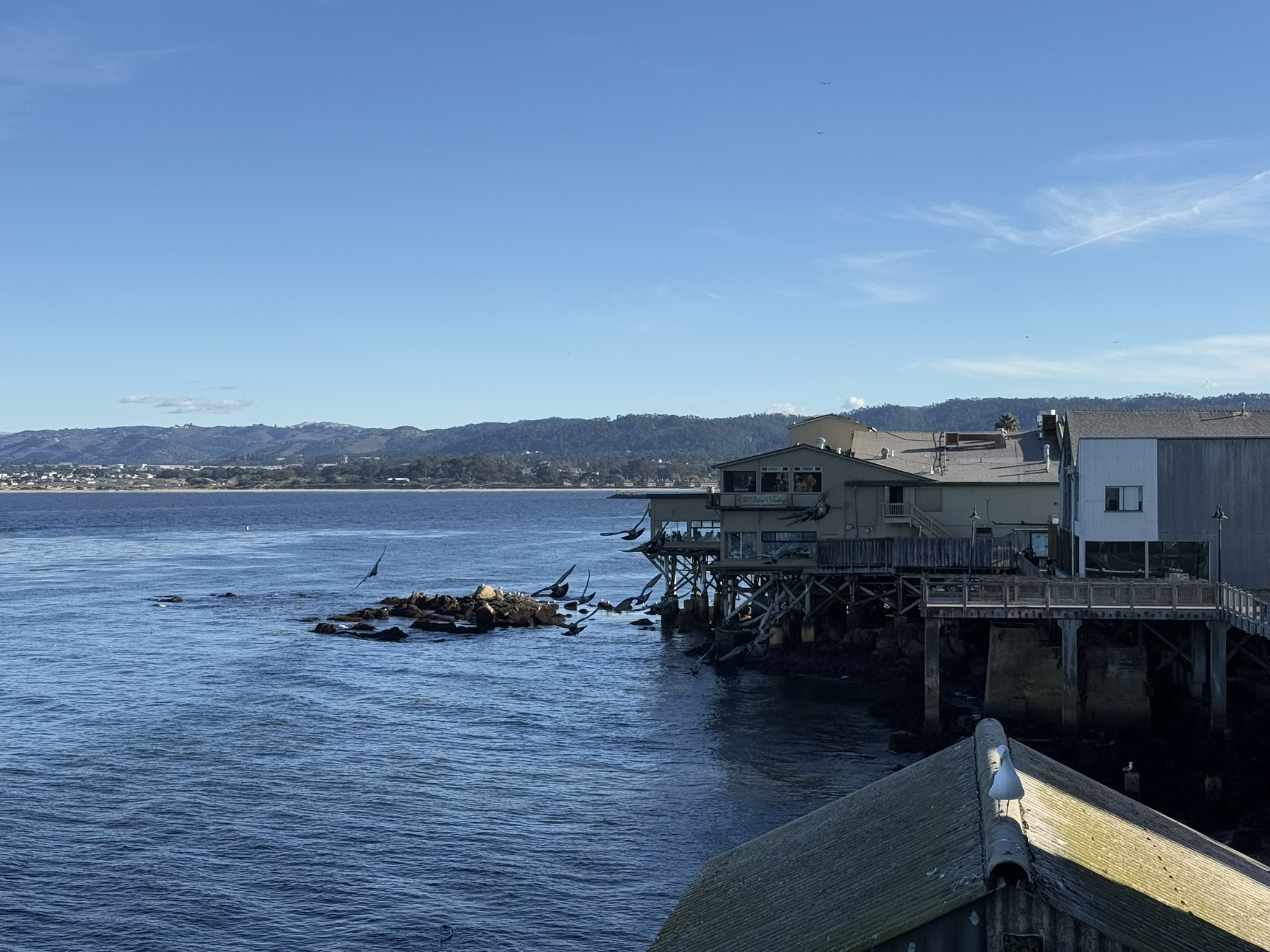 Monterey Bay Aquarium