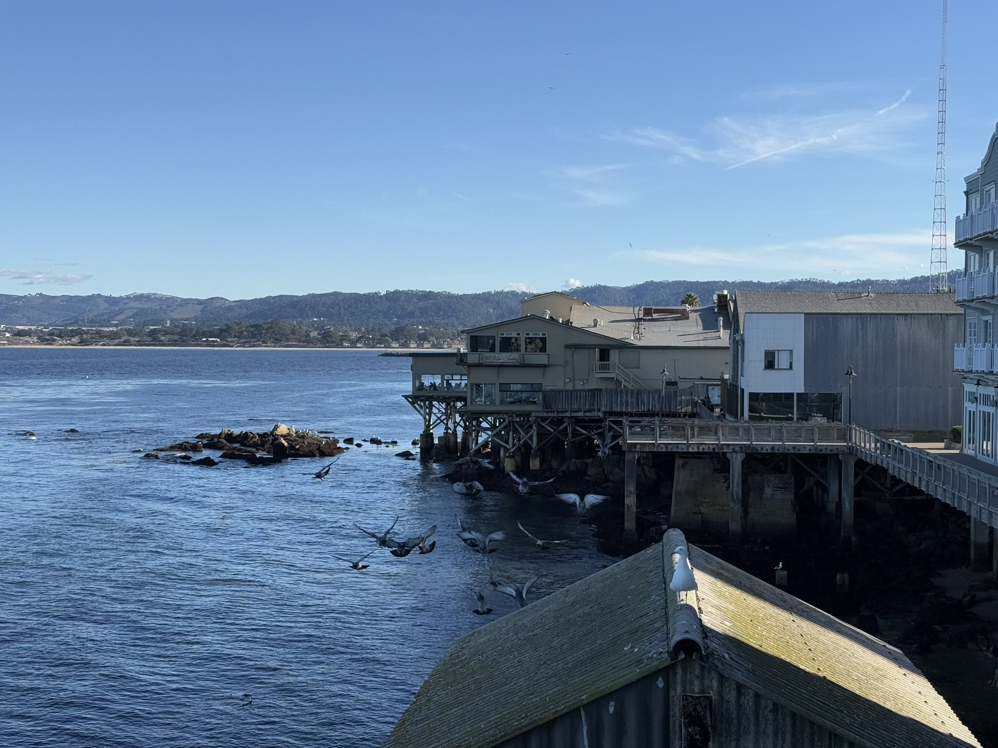 Monterey Bay Aquarium