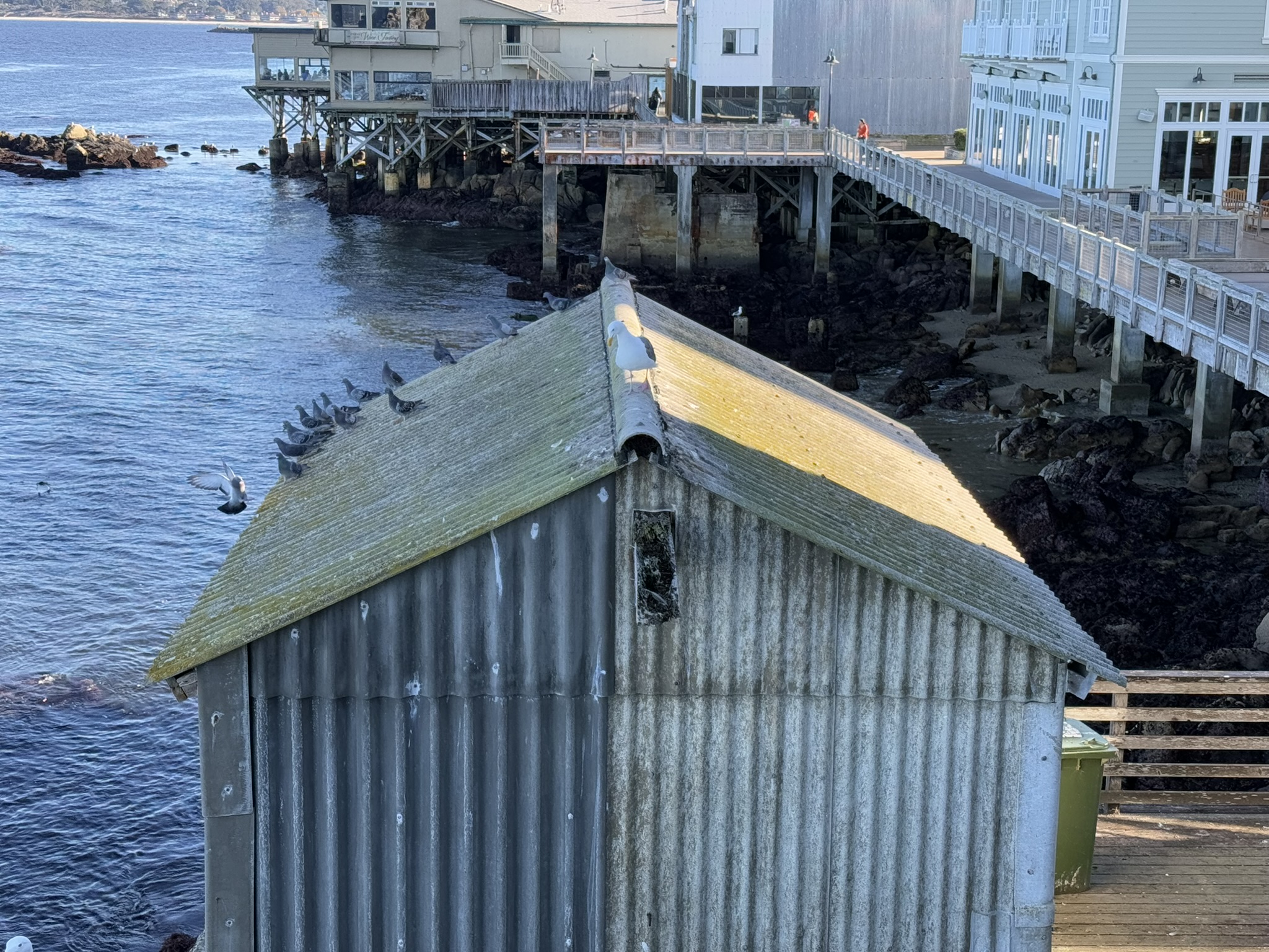 Monterey Bay Aquarium