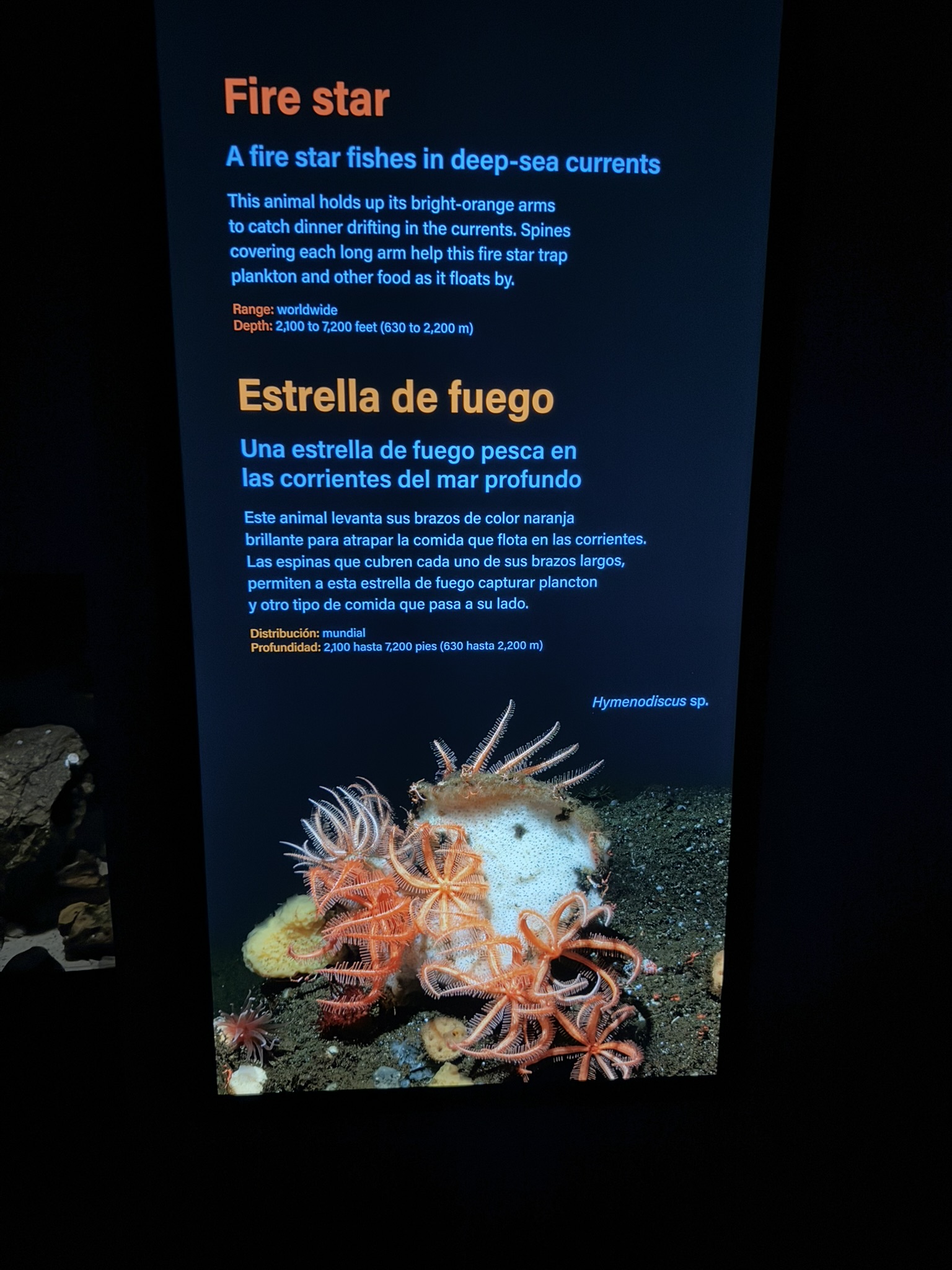 Monterey Bay Aquarium