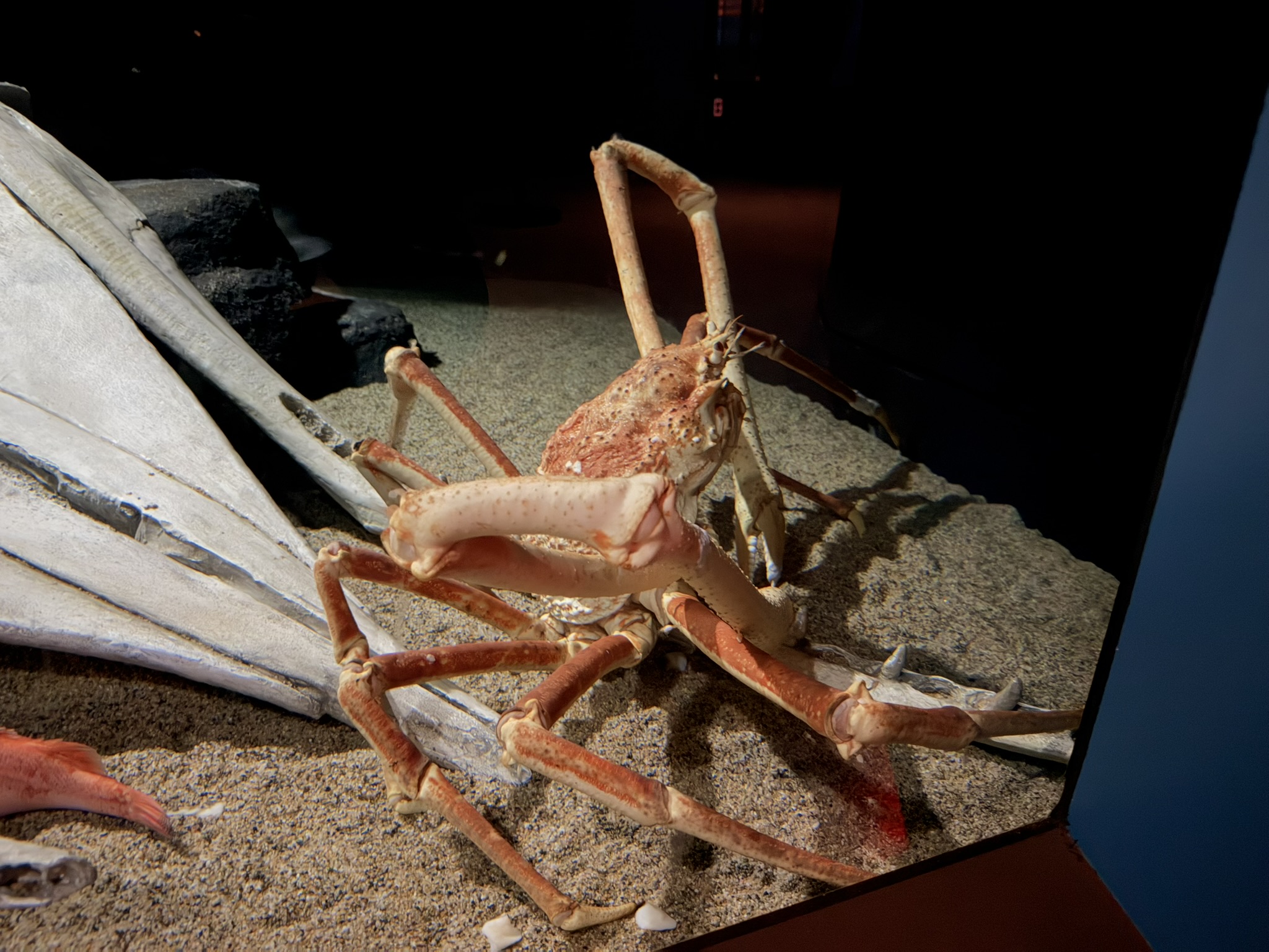 Monterey Bay Aquarium