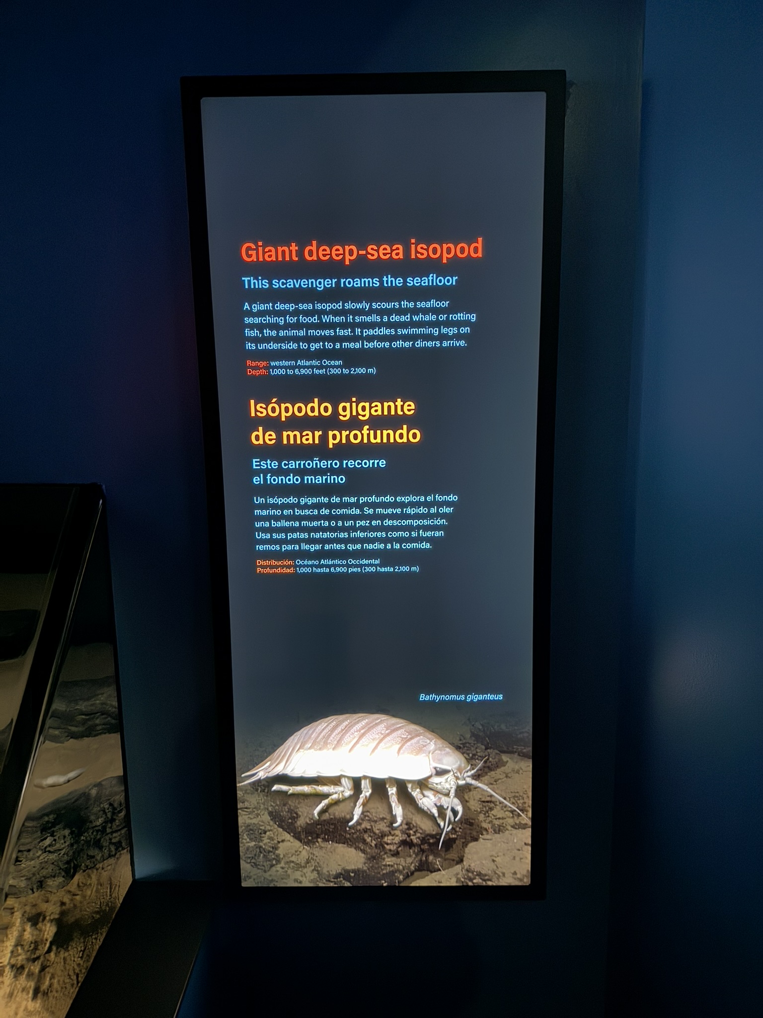 Monterey Bay Aquarium