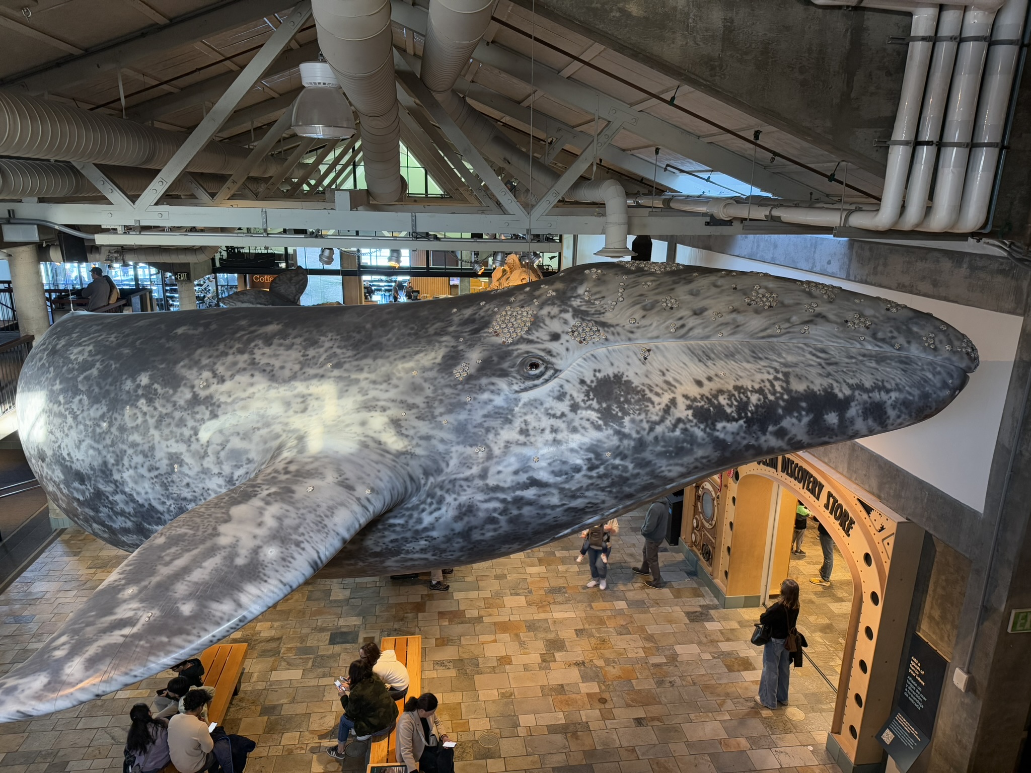 Monterey Bay Aquarium