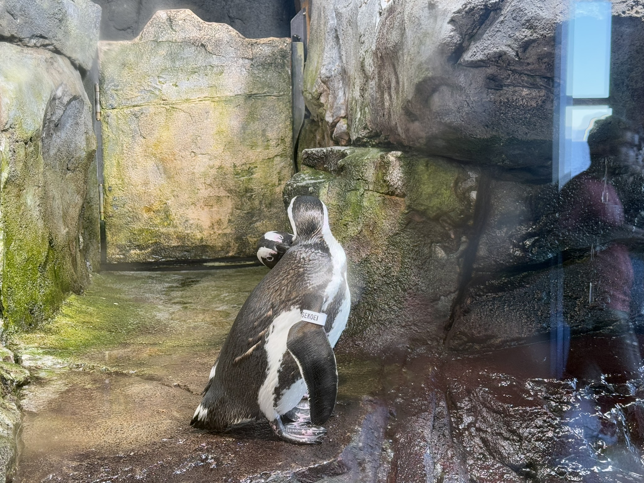 Monterey Bay Aquarium