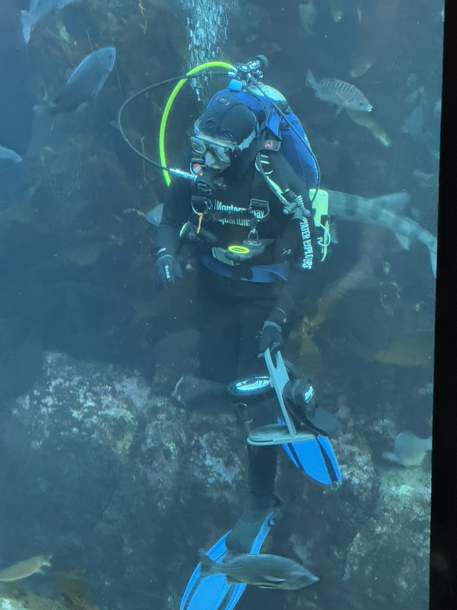 Monterey Bay Aquarium