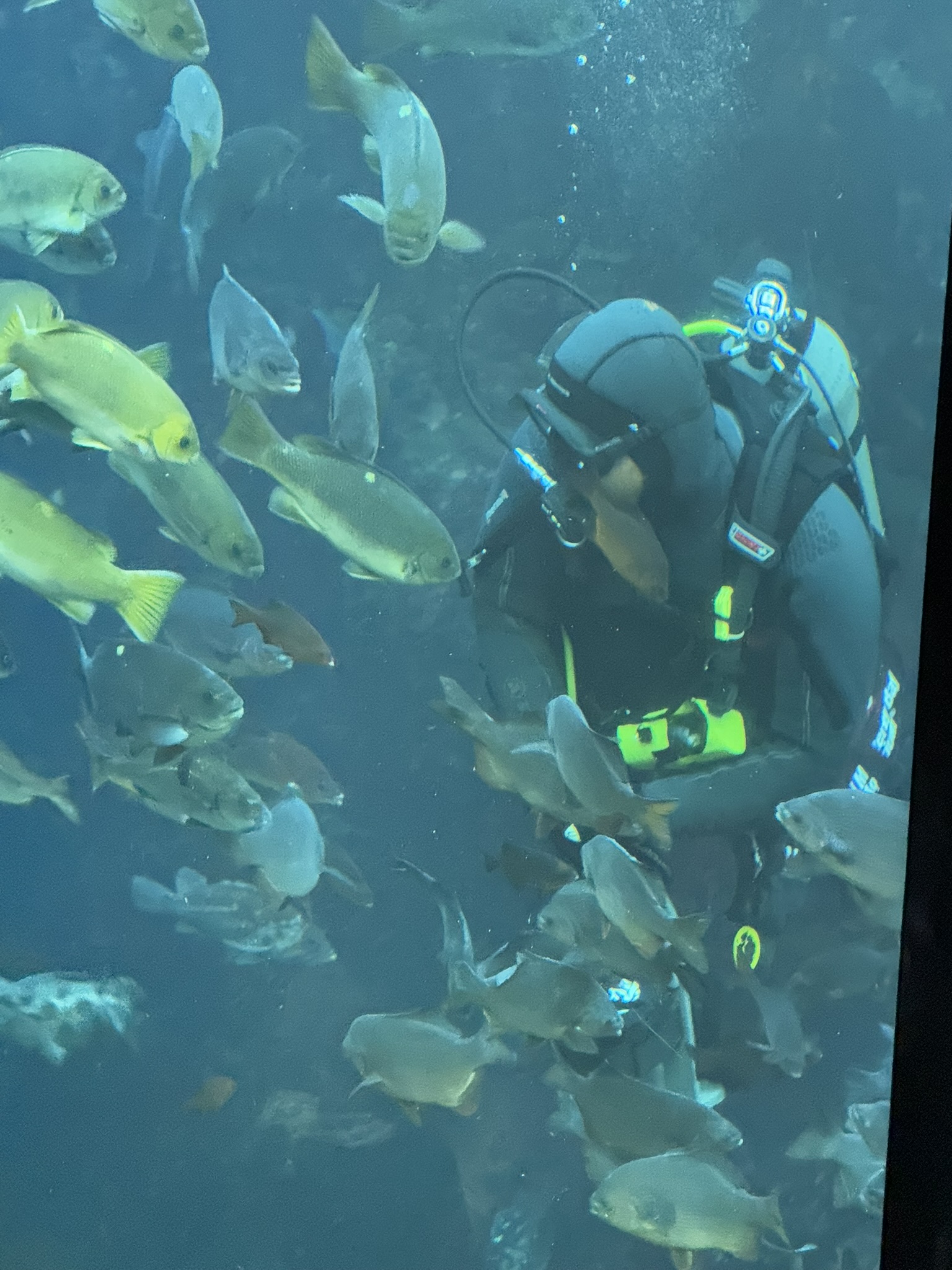 Monterey Bay Aquarium