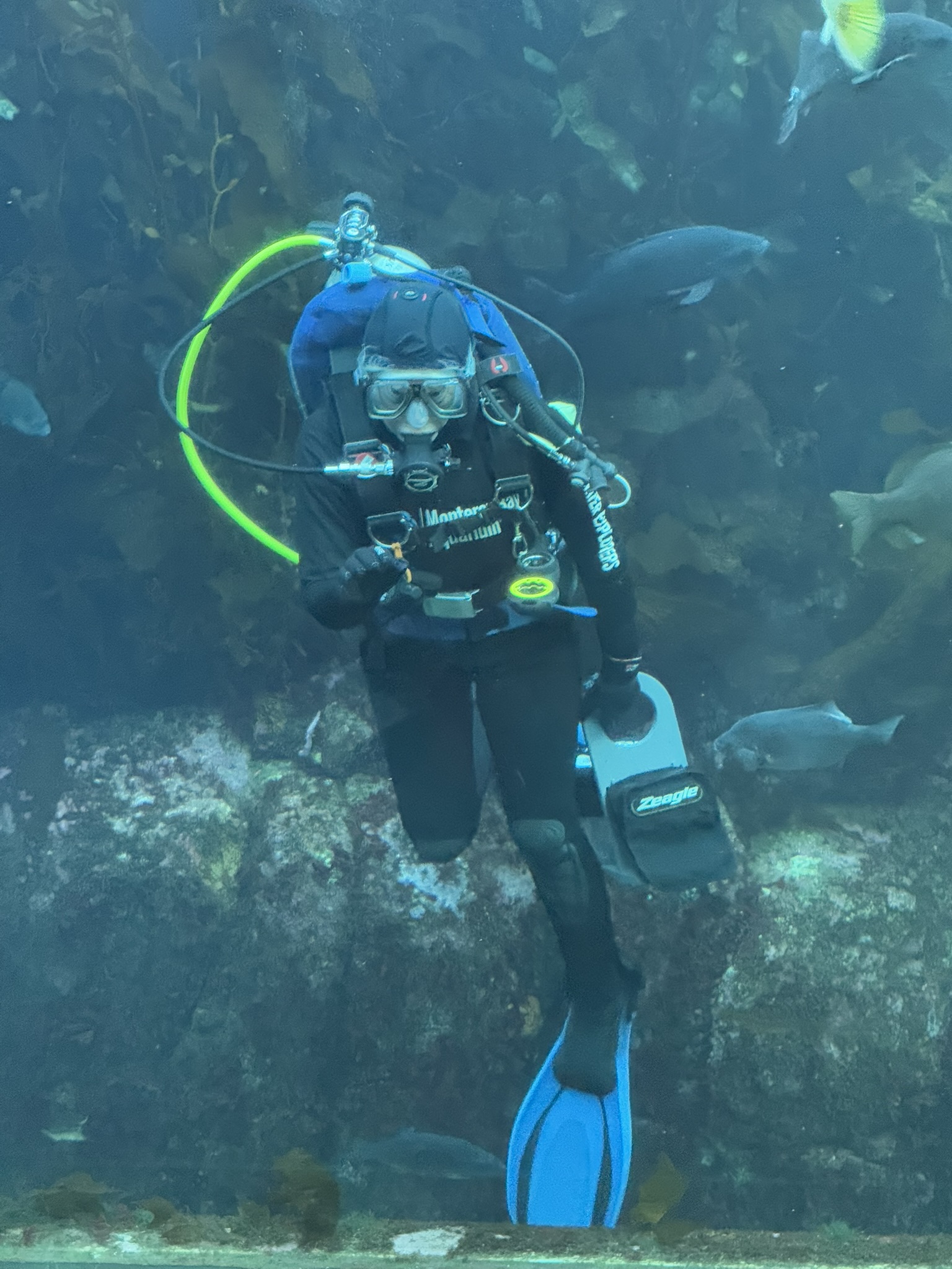 Monterey Bay Aquarium