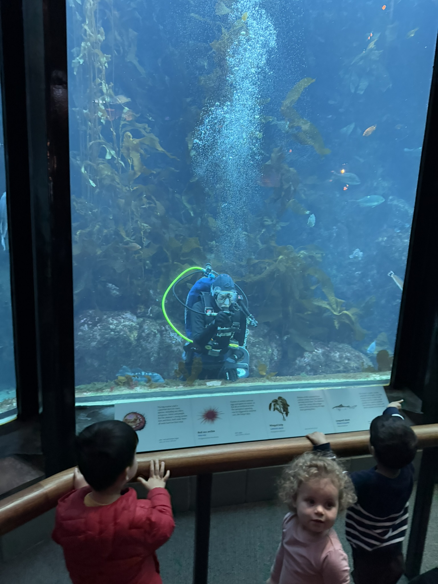 Monterey Bay Aquarium