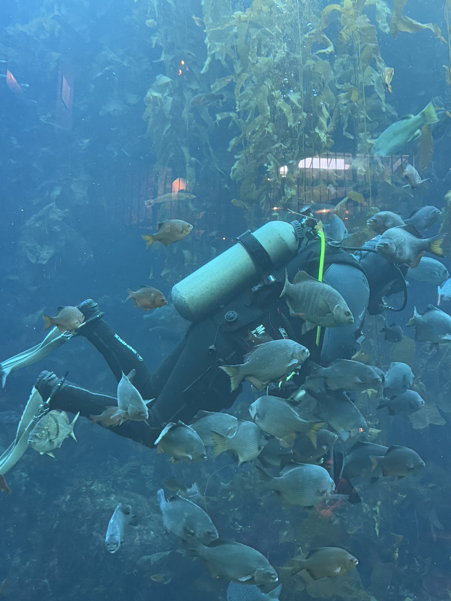 Monterey Bay Aquarium