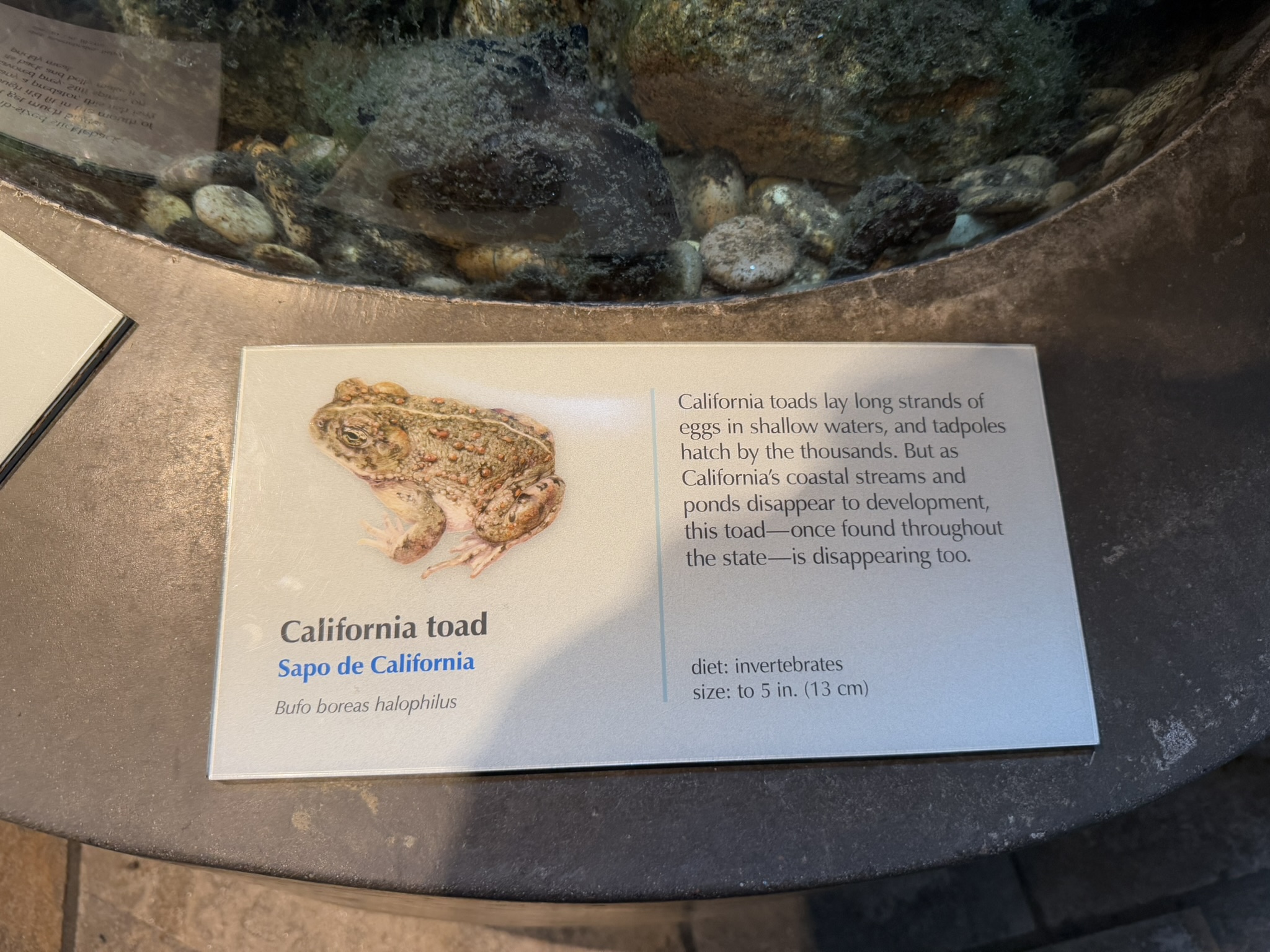 Monterey Bay Aquarium