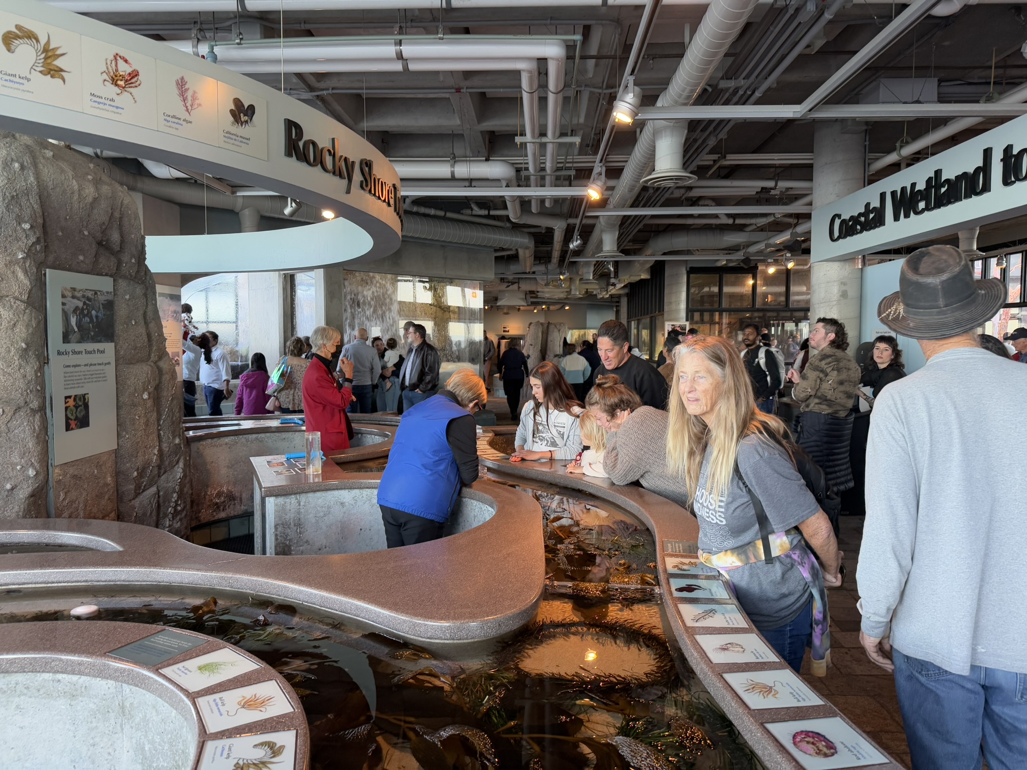 Monterey Bay Aquarium