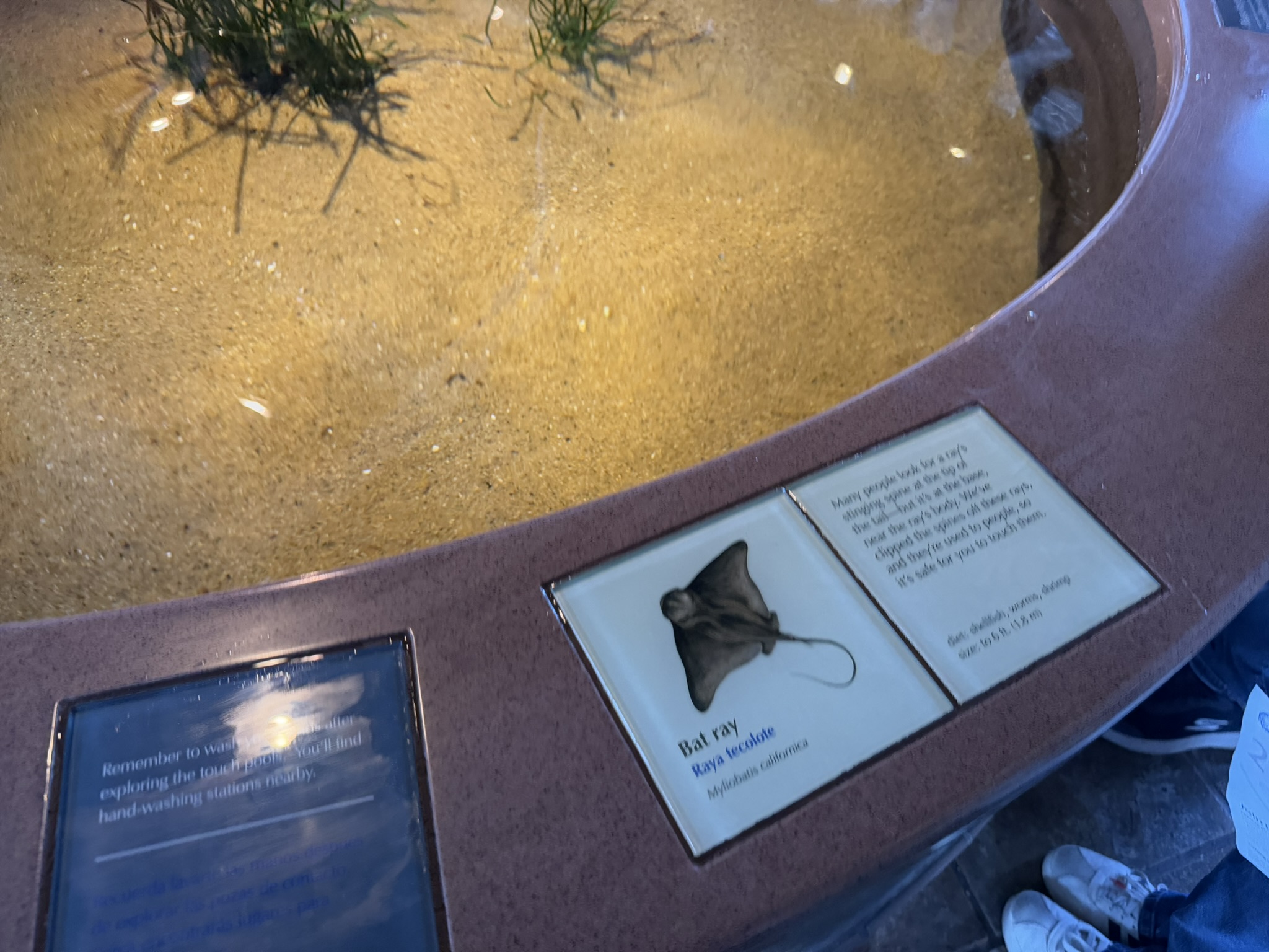 Monterey Bay Aquarium