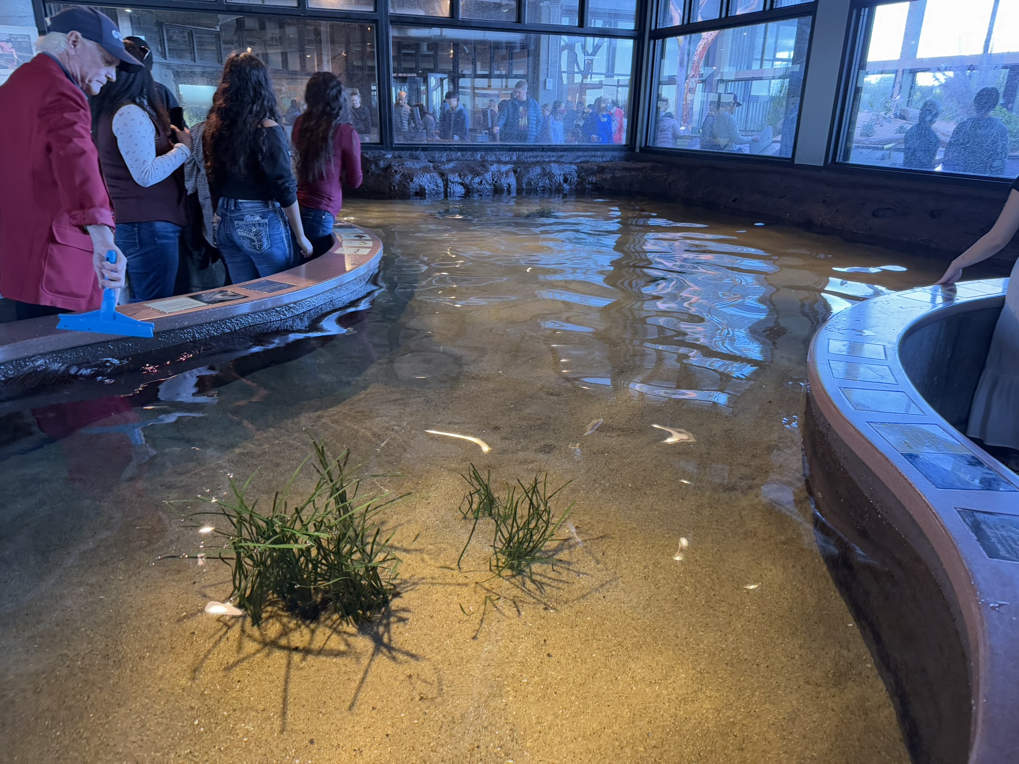 Monterey Bay Aquarium