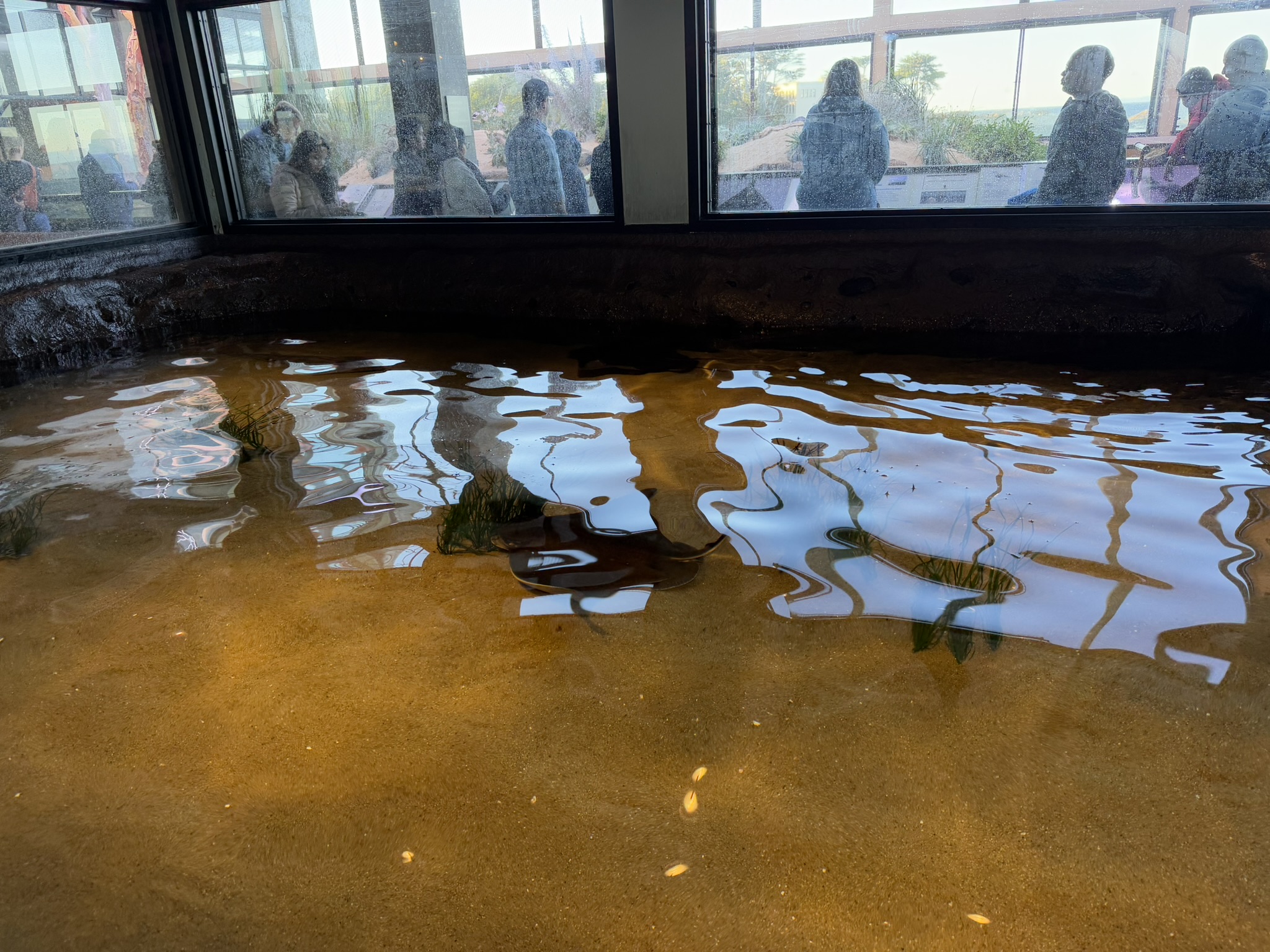 Monterey Bay Aquarium