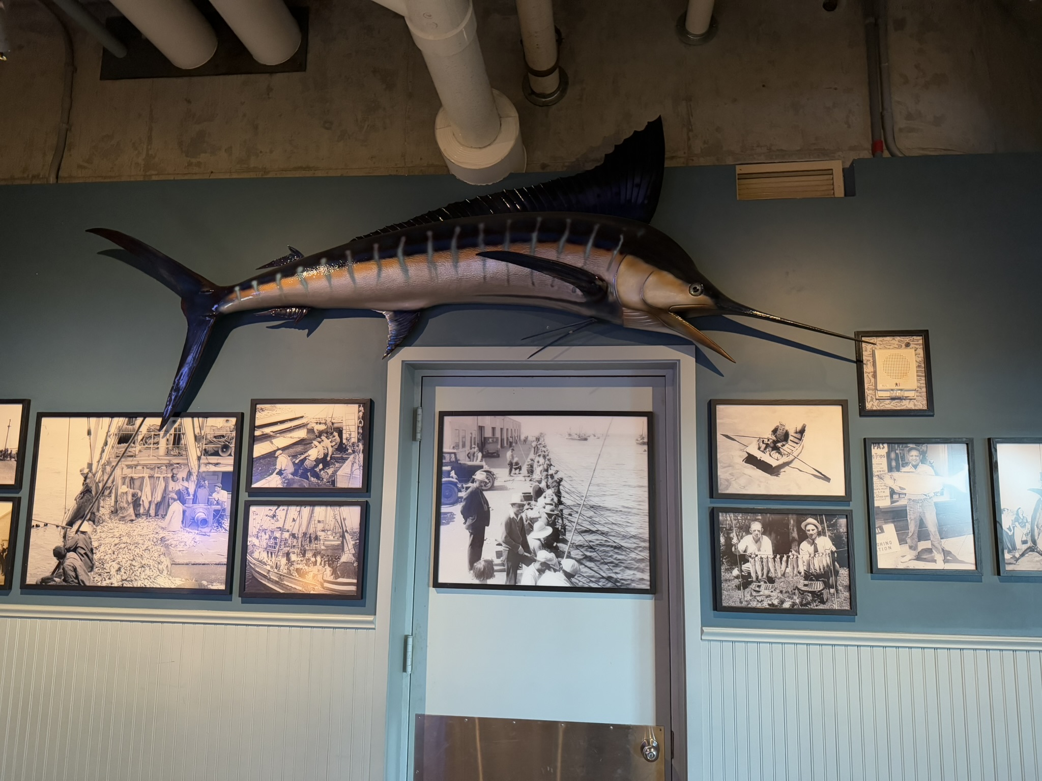 Monterey Bay Aquarium