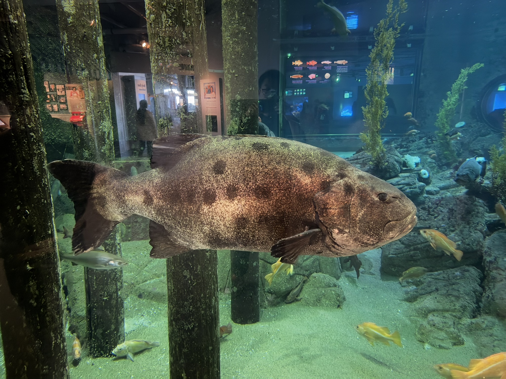 Monterey Bay Aquarium