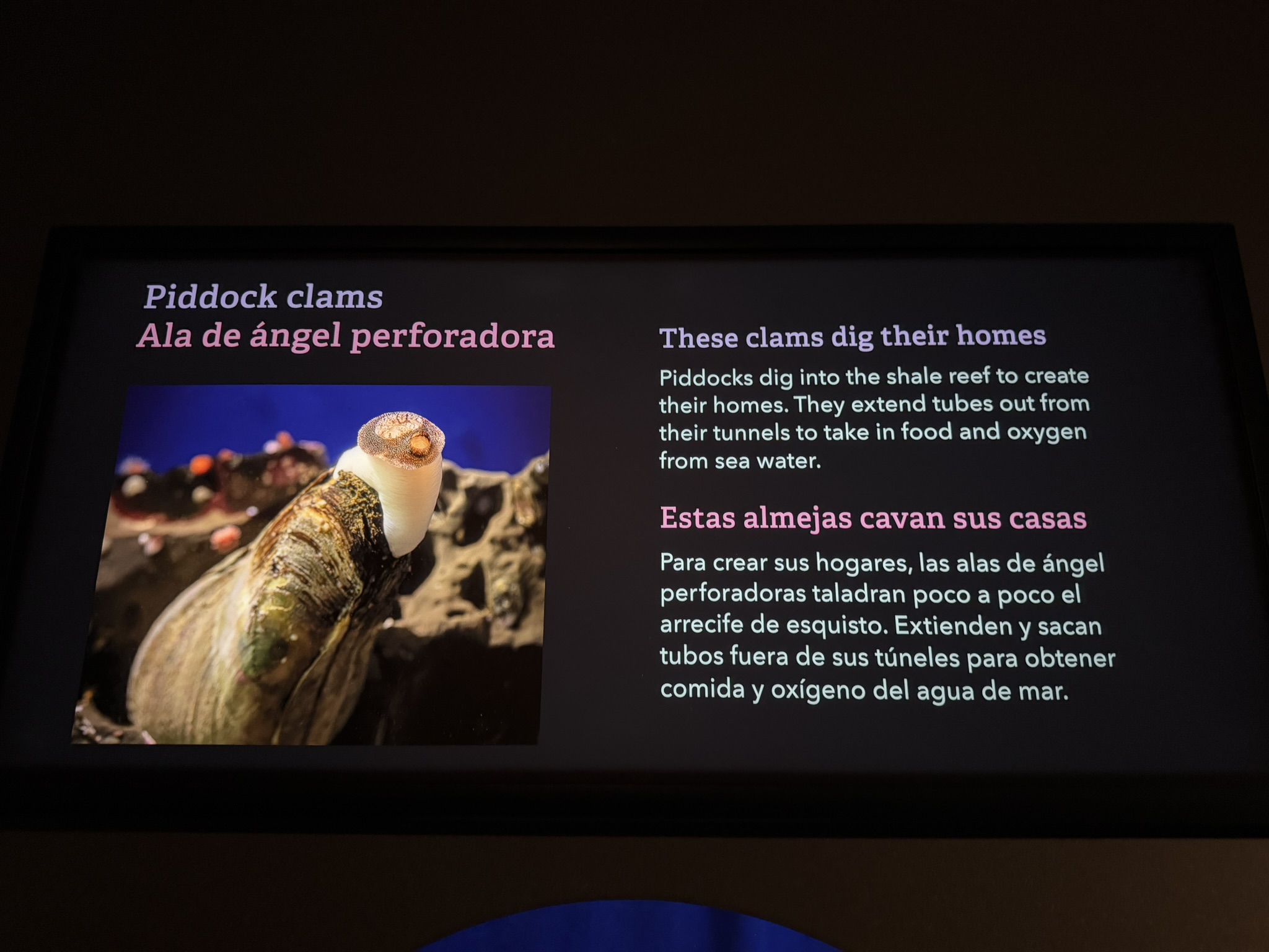 Monterey Bay Aquarium