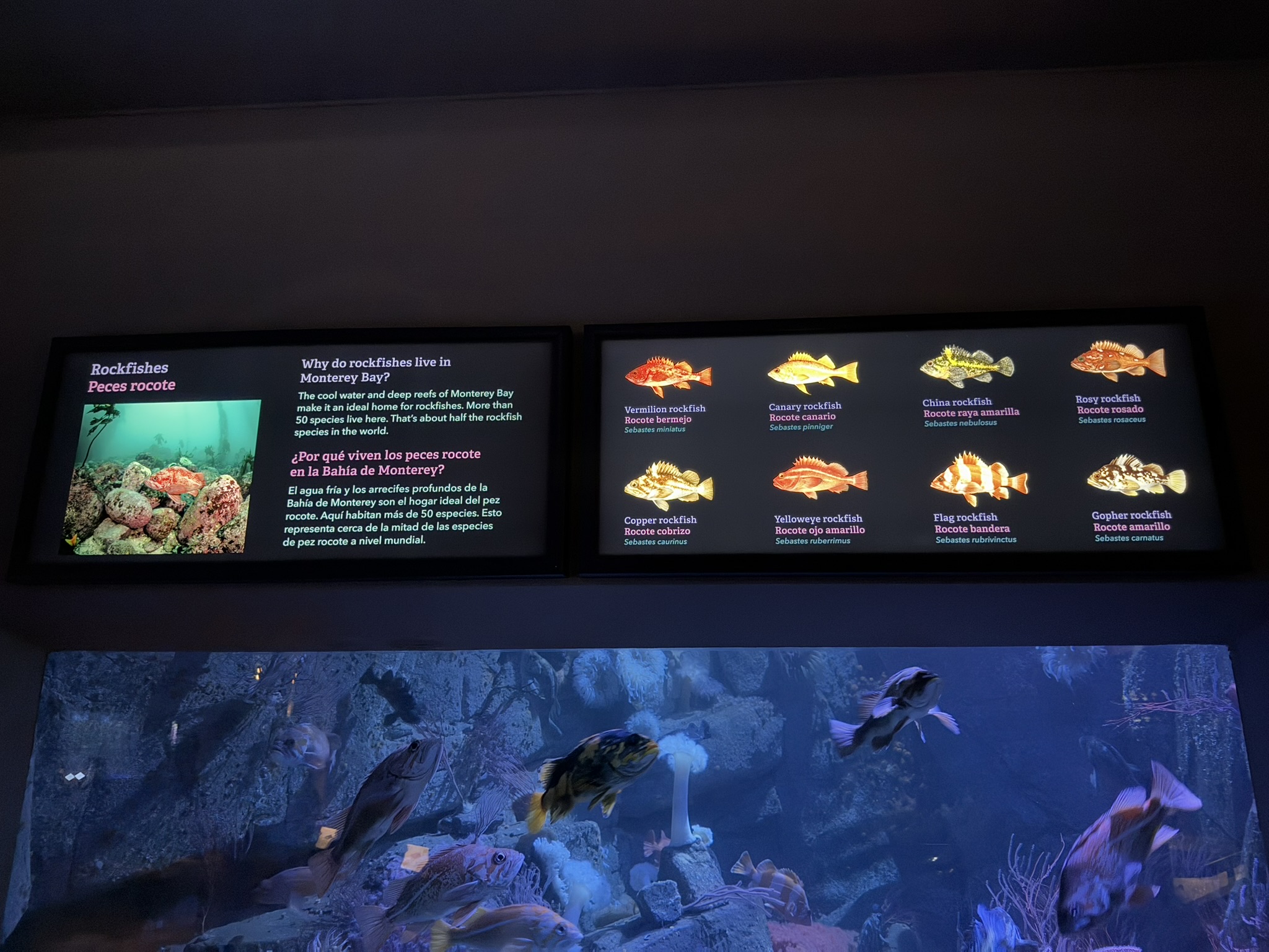 Monterey Bay Aquarium