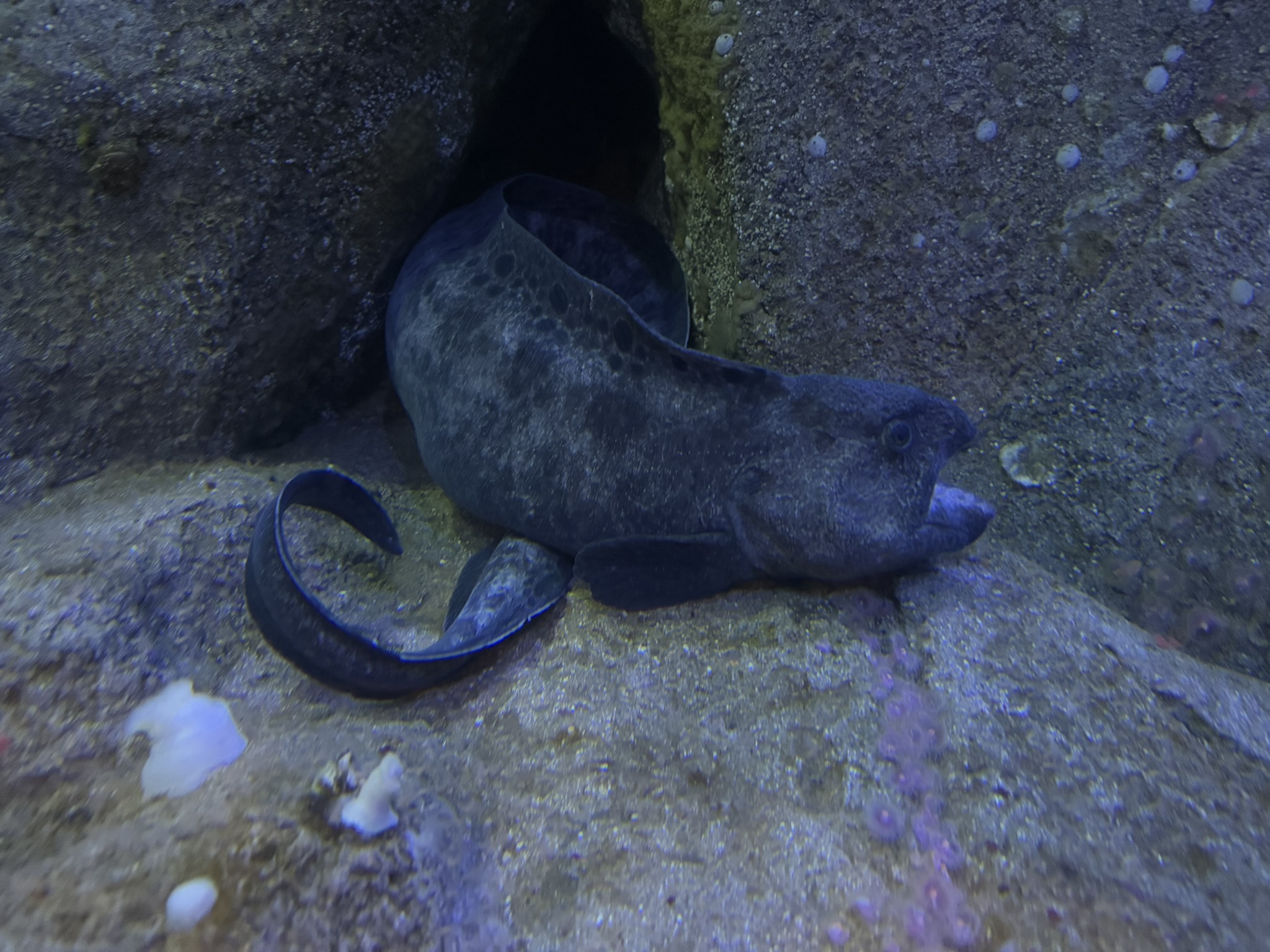 Monterey Bay Aquarium