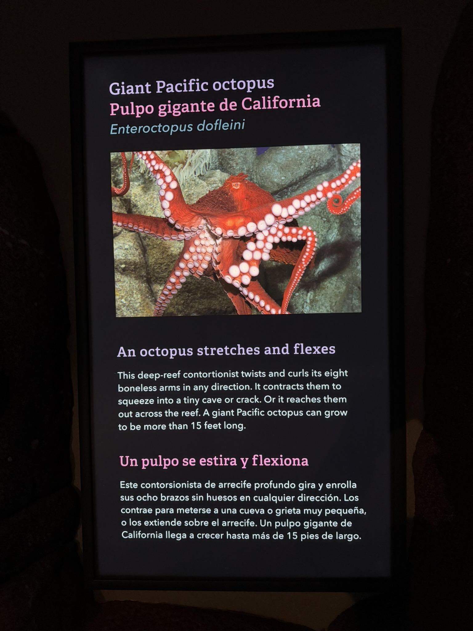 Monterey Bay Aquarium