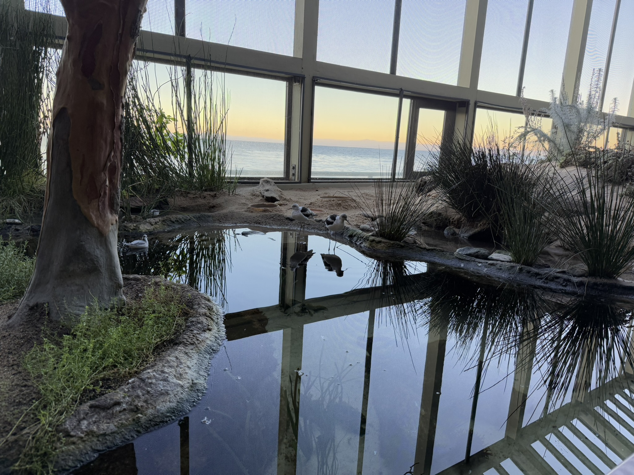 Monterey Bay Aquarium