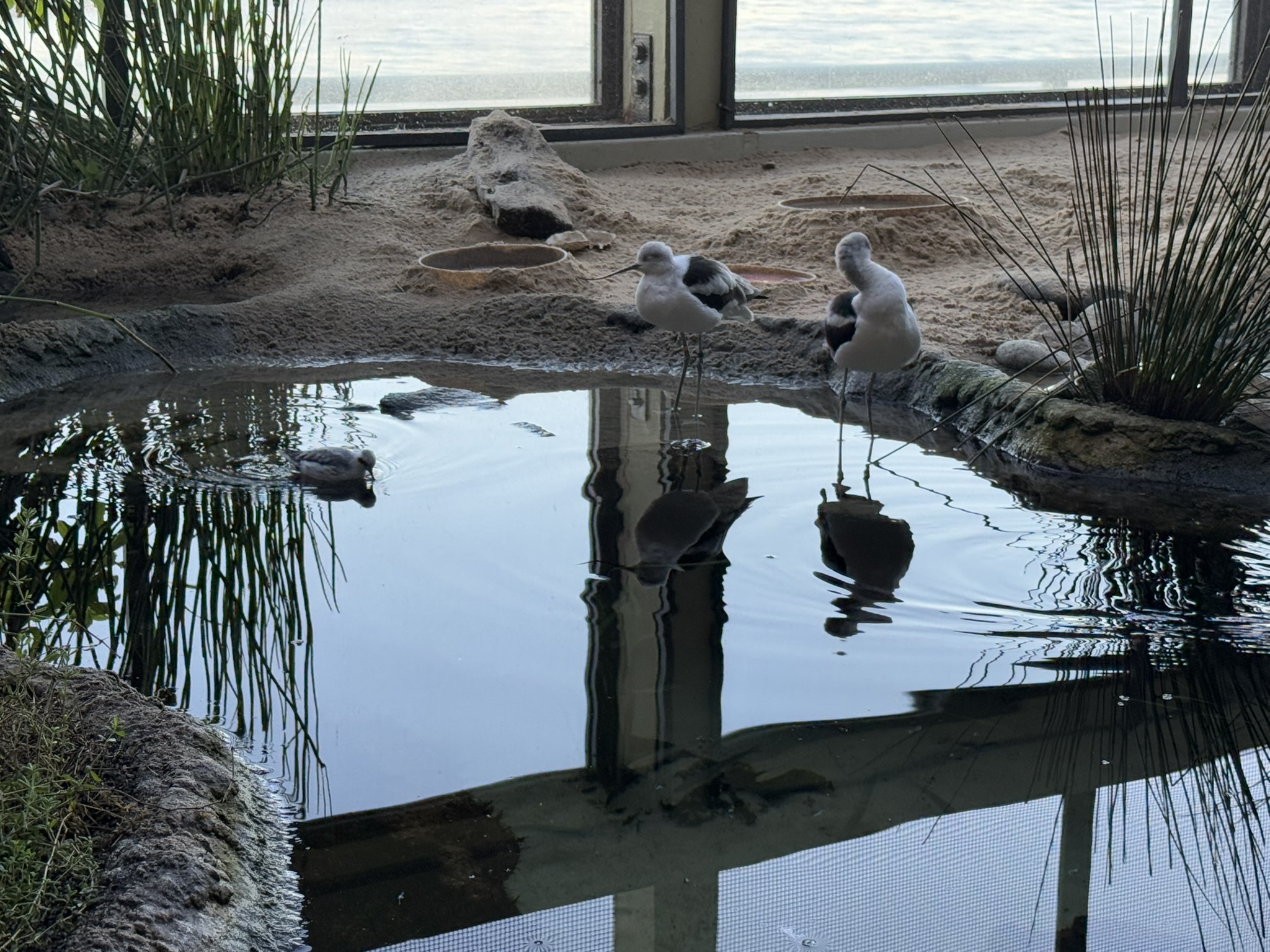 Monterey Bay Aquarium