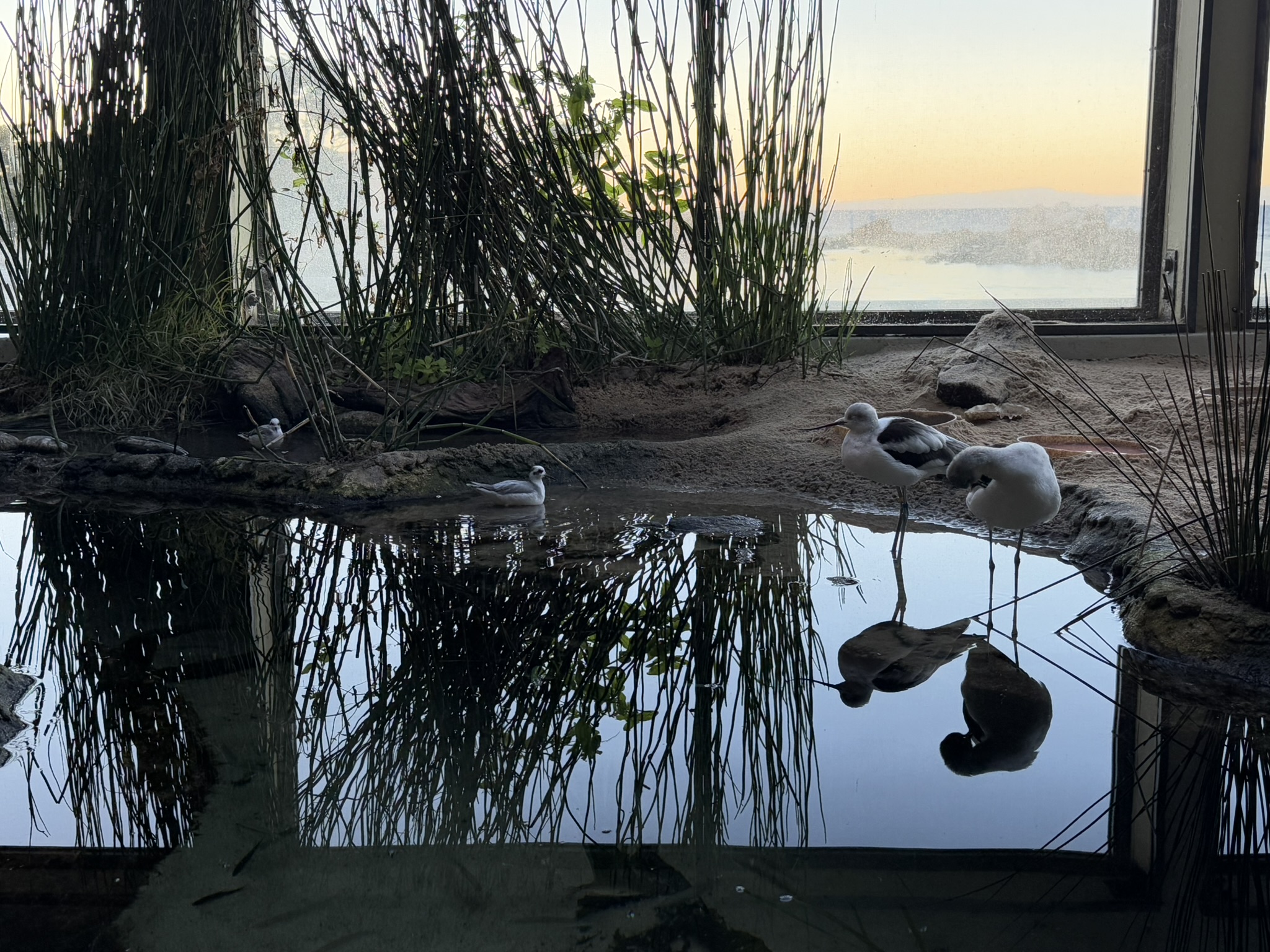 Monterey Bay Aquarium