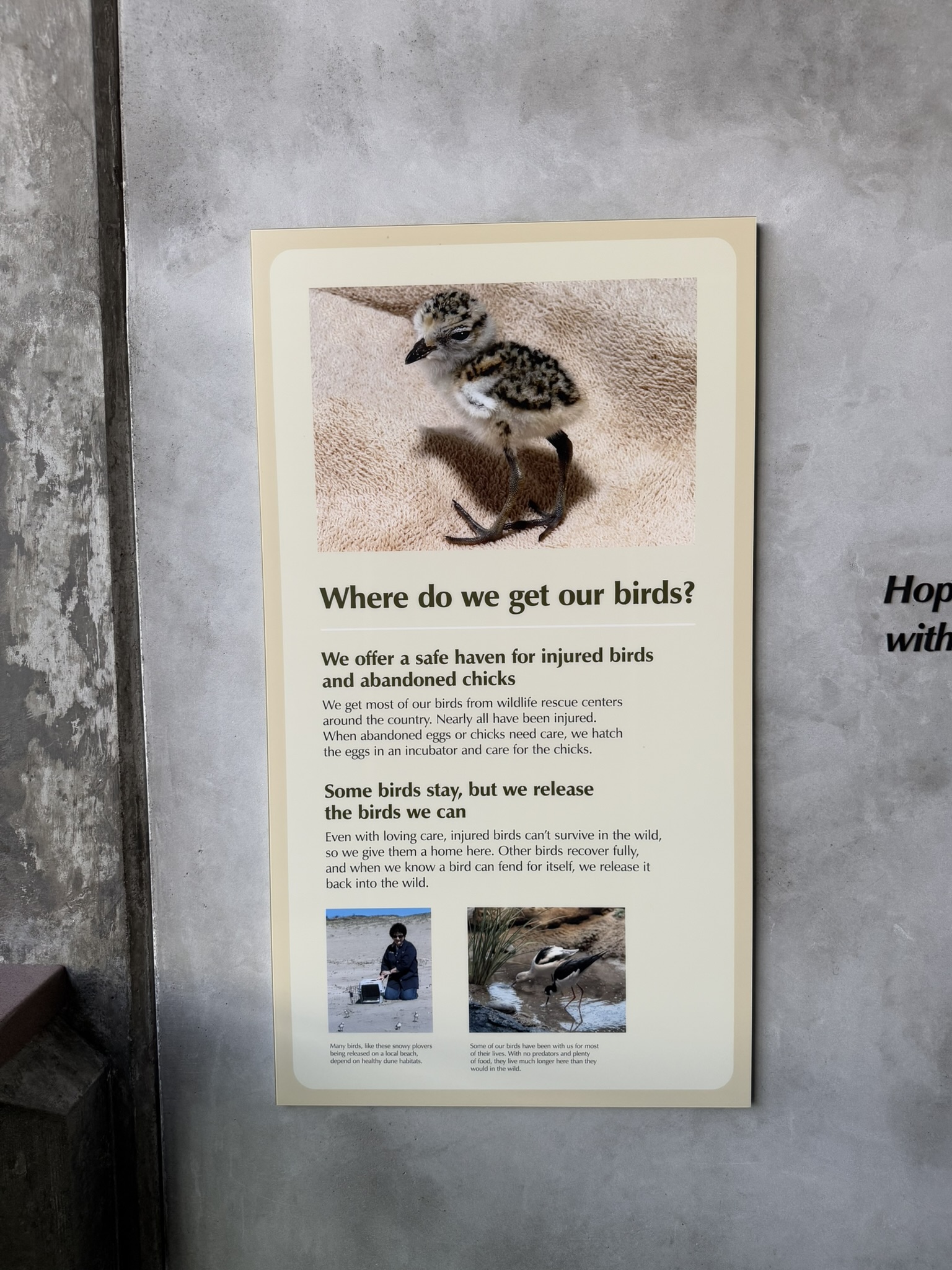 Monterey Bay Aquarium