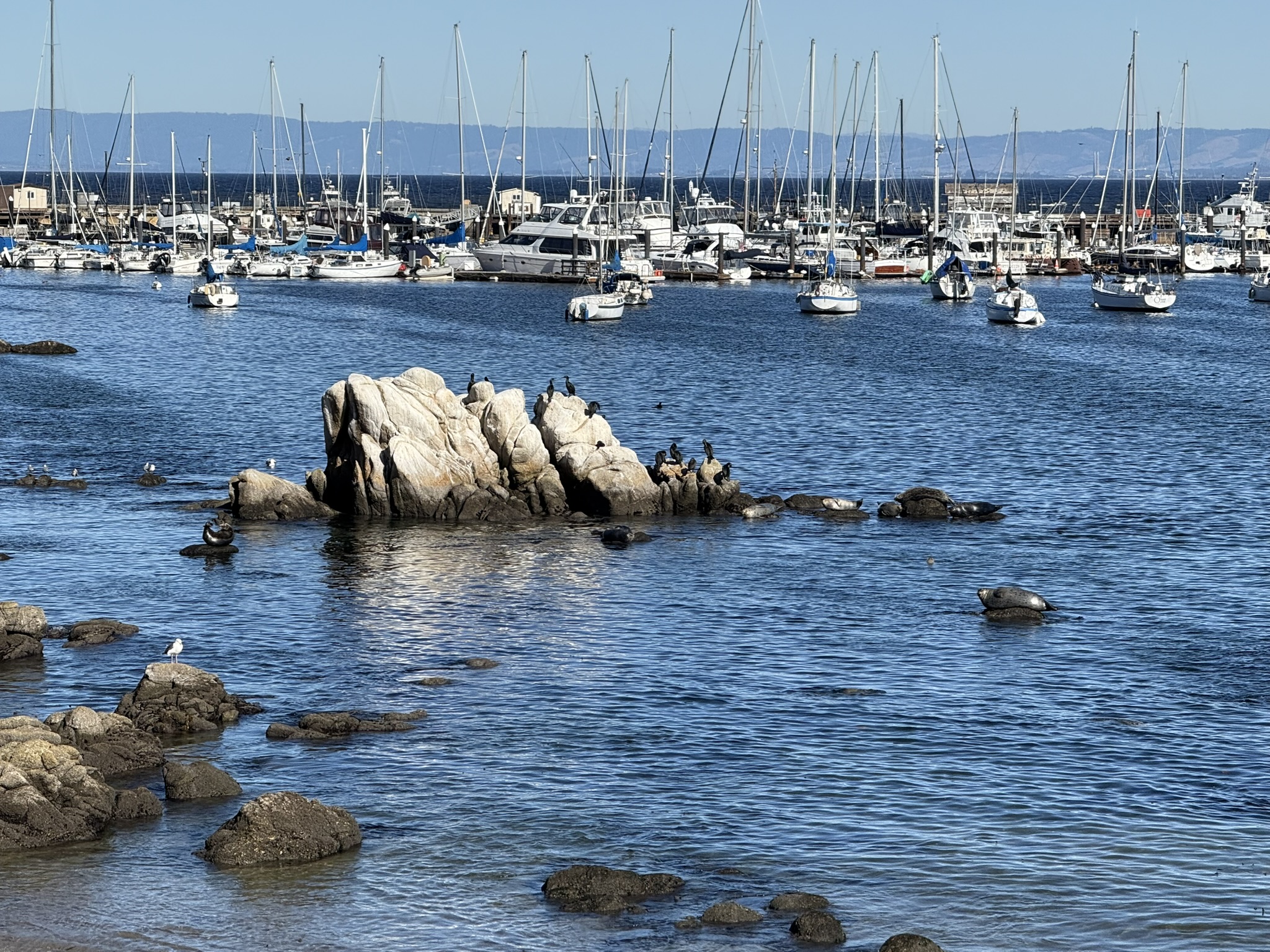 Monterey Bay Coastal Trail