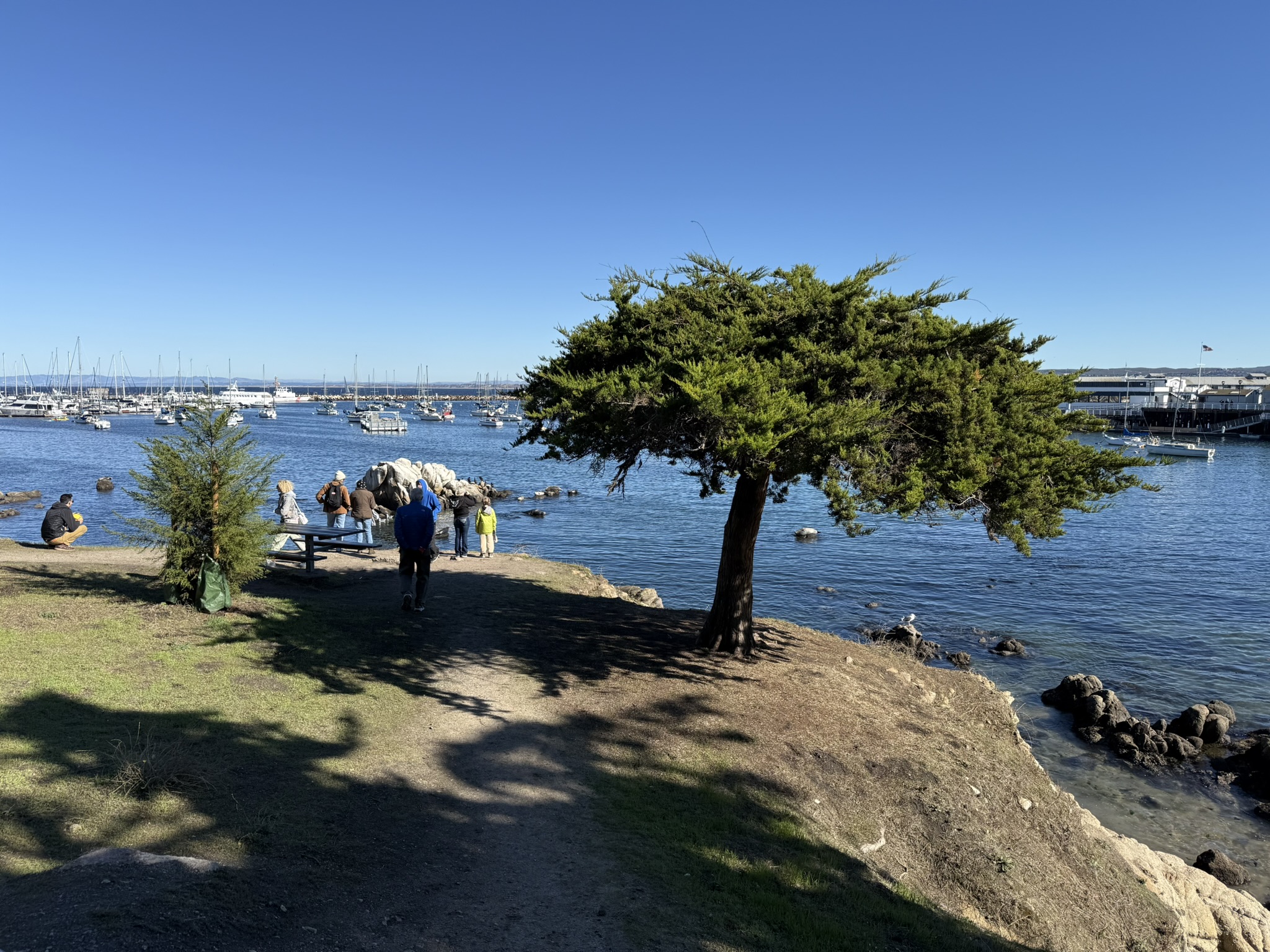 Monterey Bay Coastal Trail