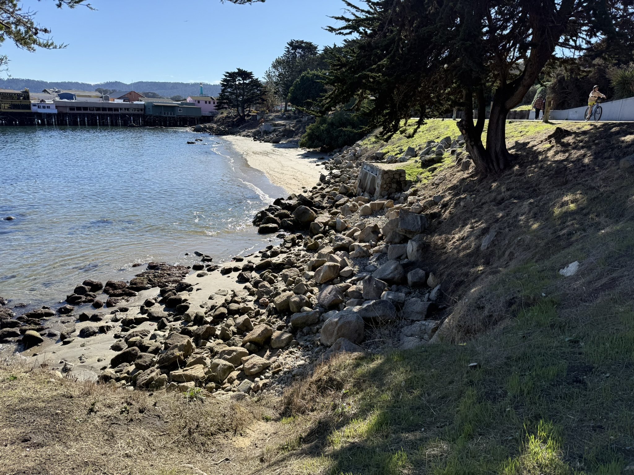 Monterey Bay Coastal Trail