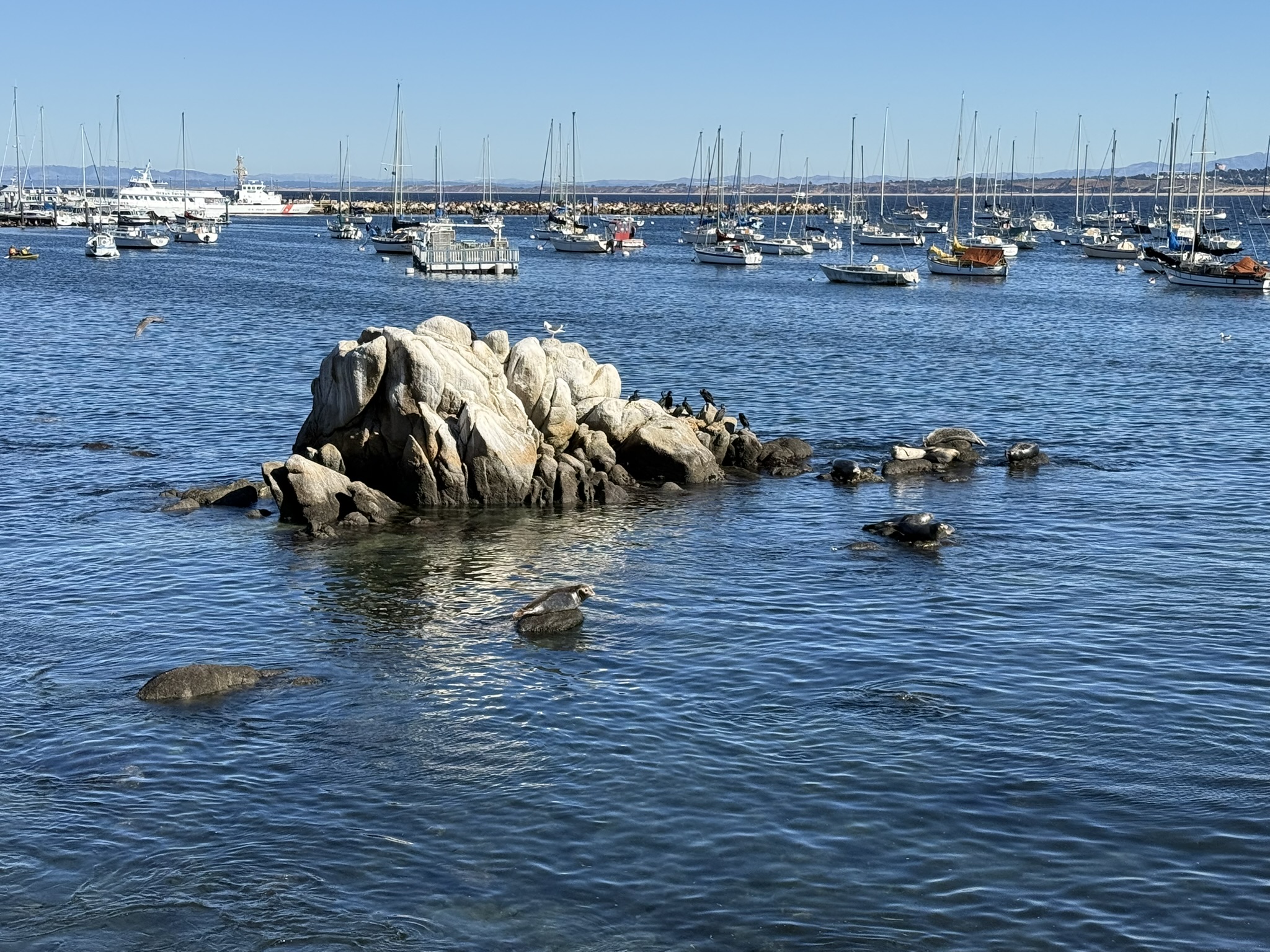 Monterey Bay Coastal Trail