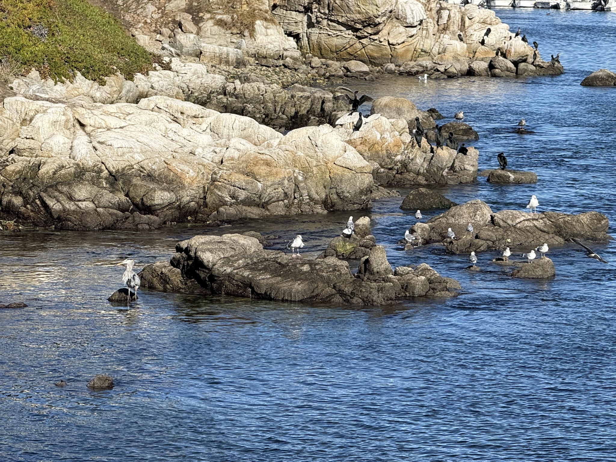 Monterey Bay Coastal Trail