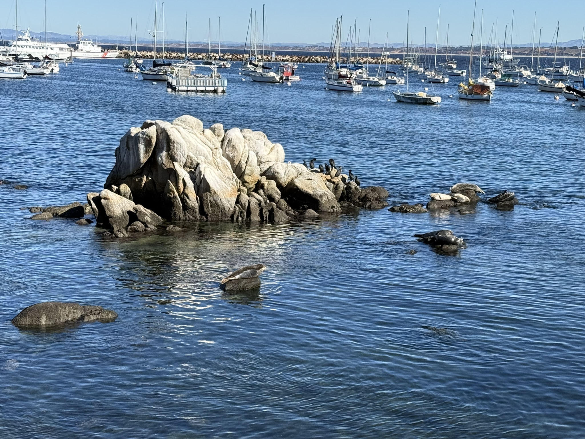 Monterey Bay Coastal Trail